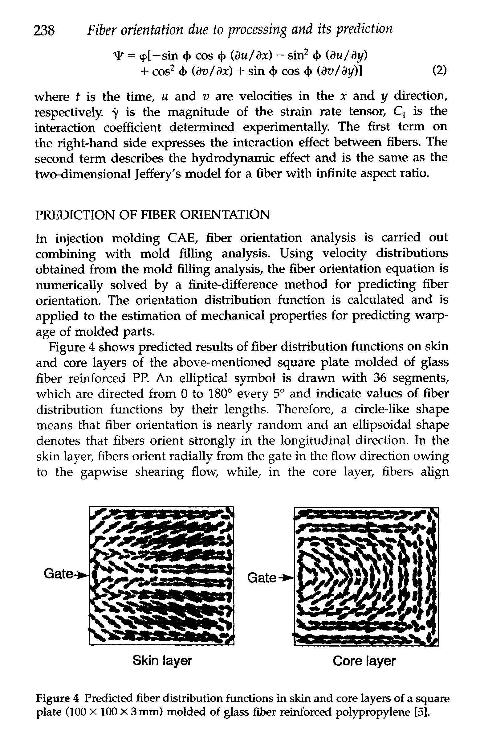 Figure 4 Predicted fiber distribution functions in skin and core layers of a square plate (100 X 100 X 3 nun) molded of glass fiber reinforced pol)q>ropylene 15].