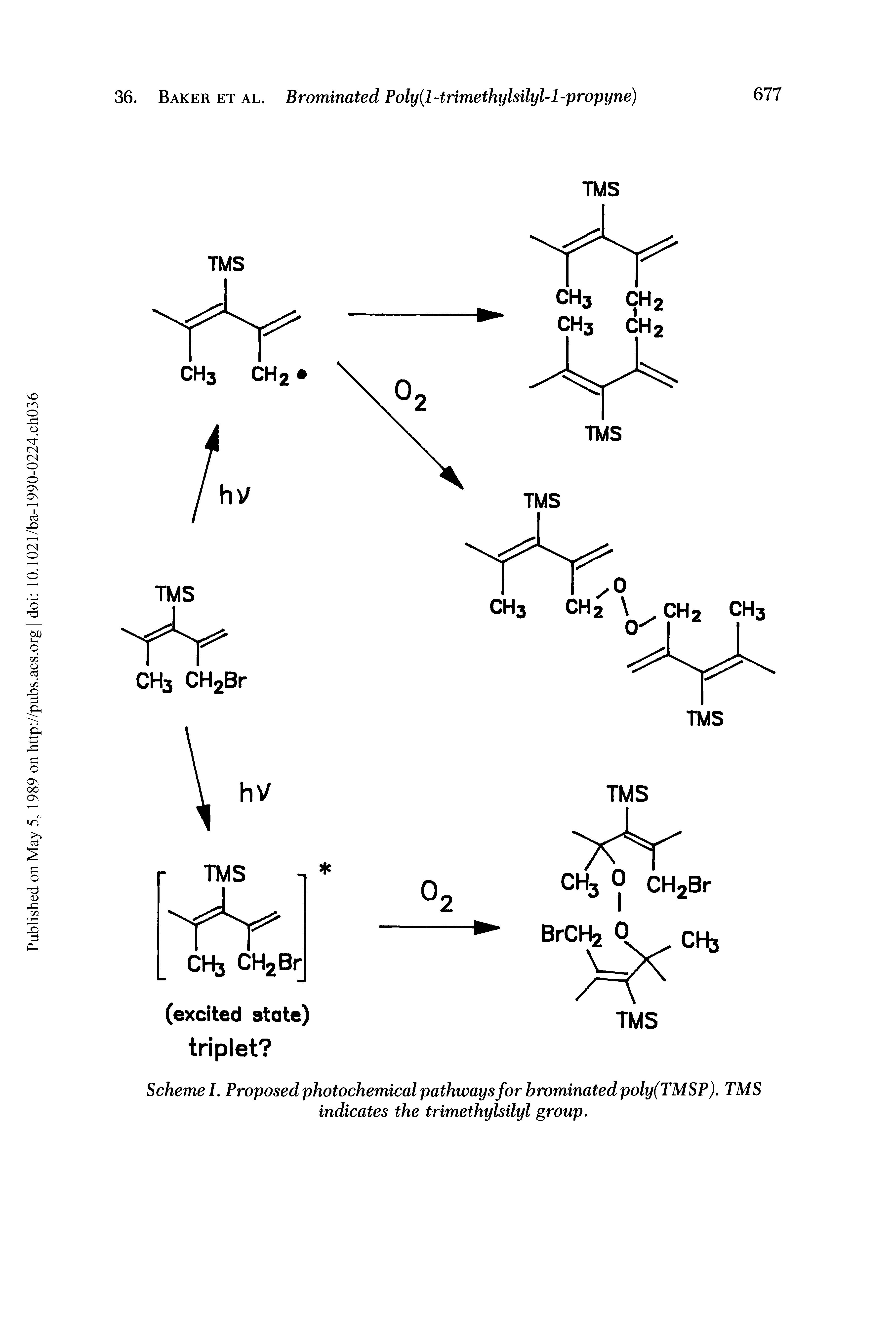 Scheme 1, Proposed photochemical pathways for brominated poly(TMSP). TMS indicates the trimethylsilyl group.
