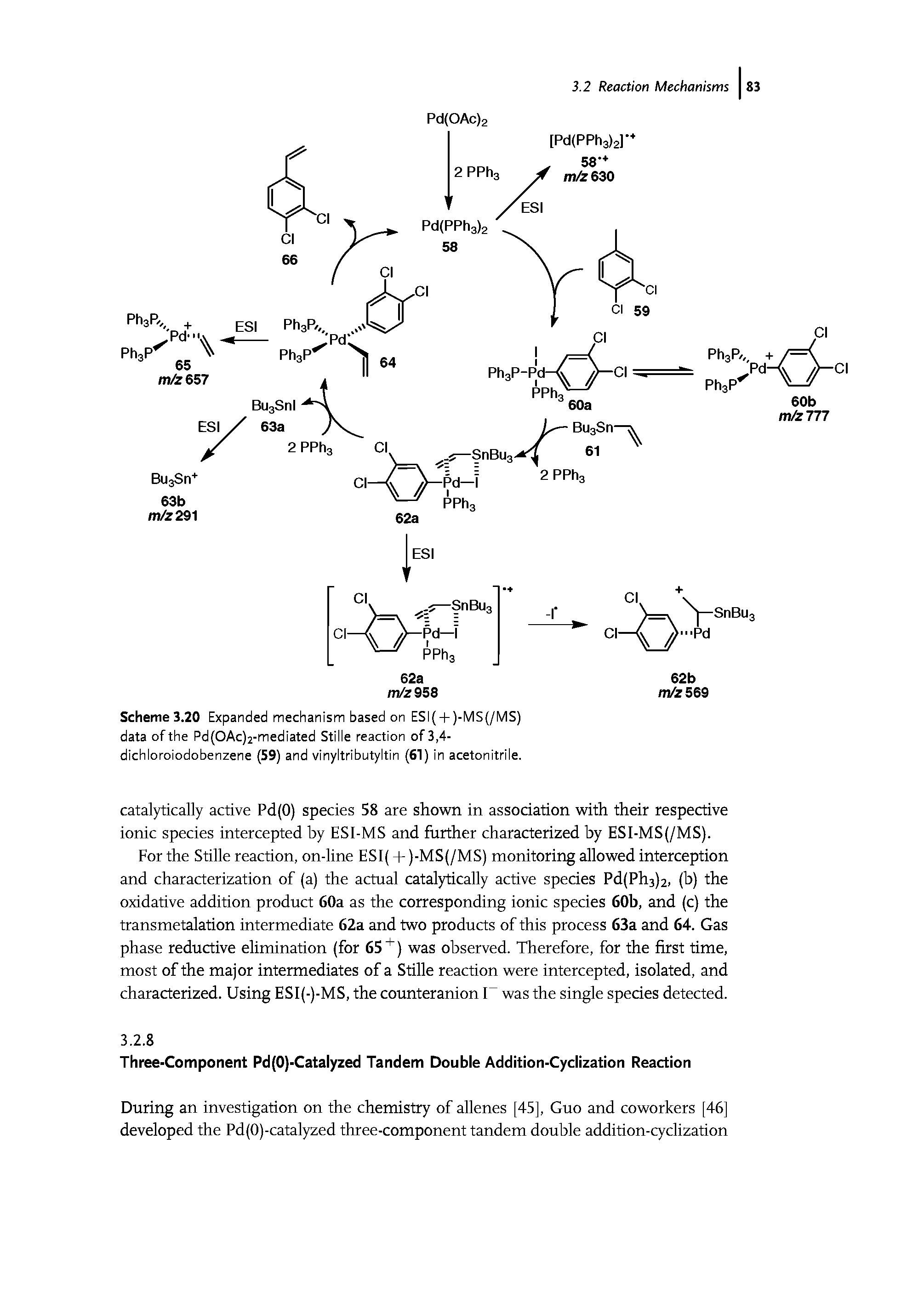 Scheme 3.20 Expanded mechanism based on ESI( + )-MS(/MS) data of the Pd OAc)2-mediated Stille reaction of 3,4-dichloroiodobenzene (59) and vinyltributyltin (61) in acetonitrile.