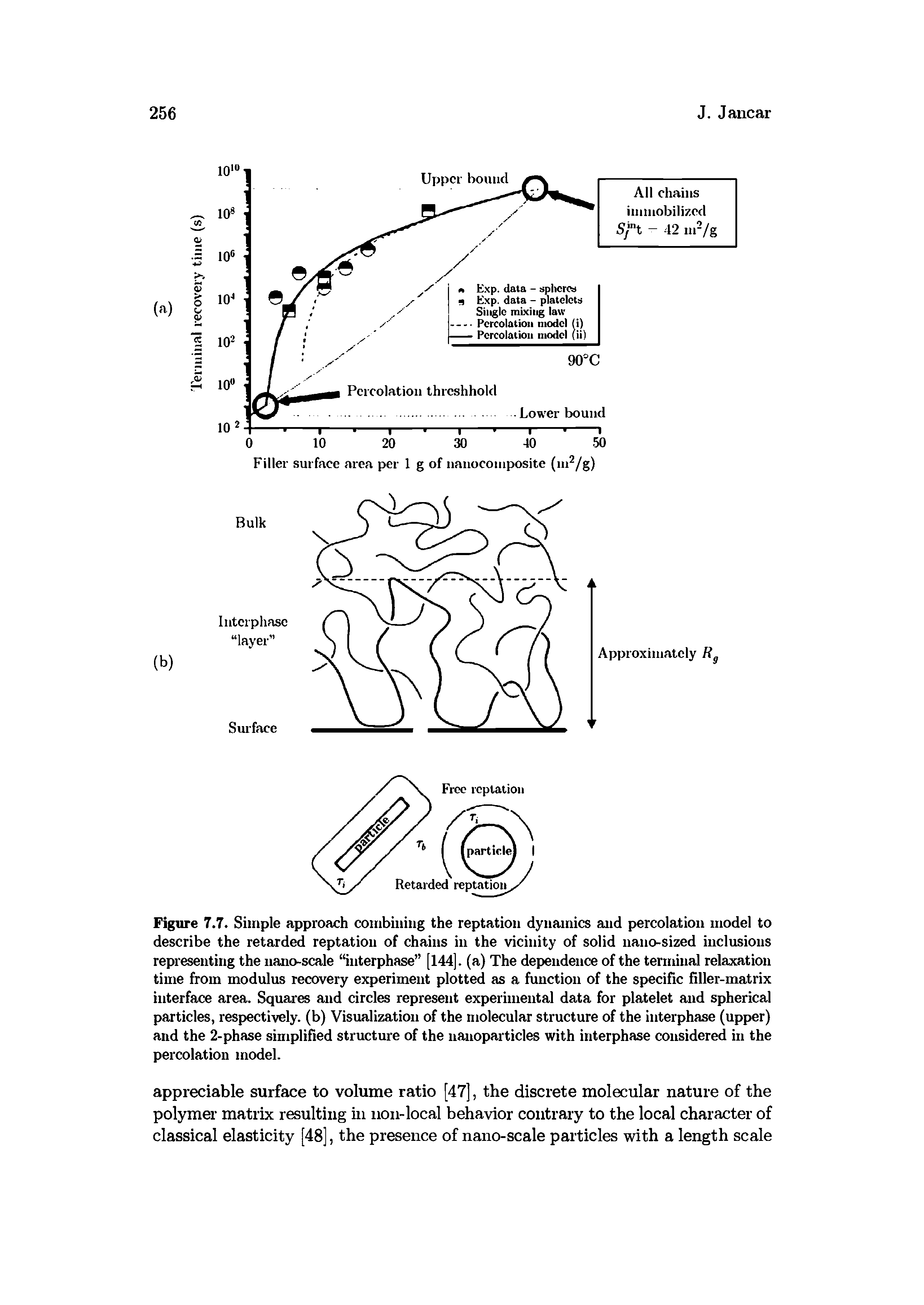 Figure 7.7. Simple approach combining the reptation dynamics and percolation model to describe the retarded reptation of chains in the vicinity of solid nanosized inclusions representing the iianoscale interphase [144]. (a) The dependence of the tenniiial relaxation time from modulus recovery experiment plotted as a function of the specific filler-matrix interface area. Squares and circles represent experimental data for platelet and spherical particles, respectively, (b) Visualization of the molecular structure of the interphase (upper) and the 2-phase simplified structure of the uauoparticles with interphase considered in the percolation model.