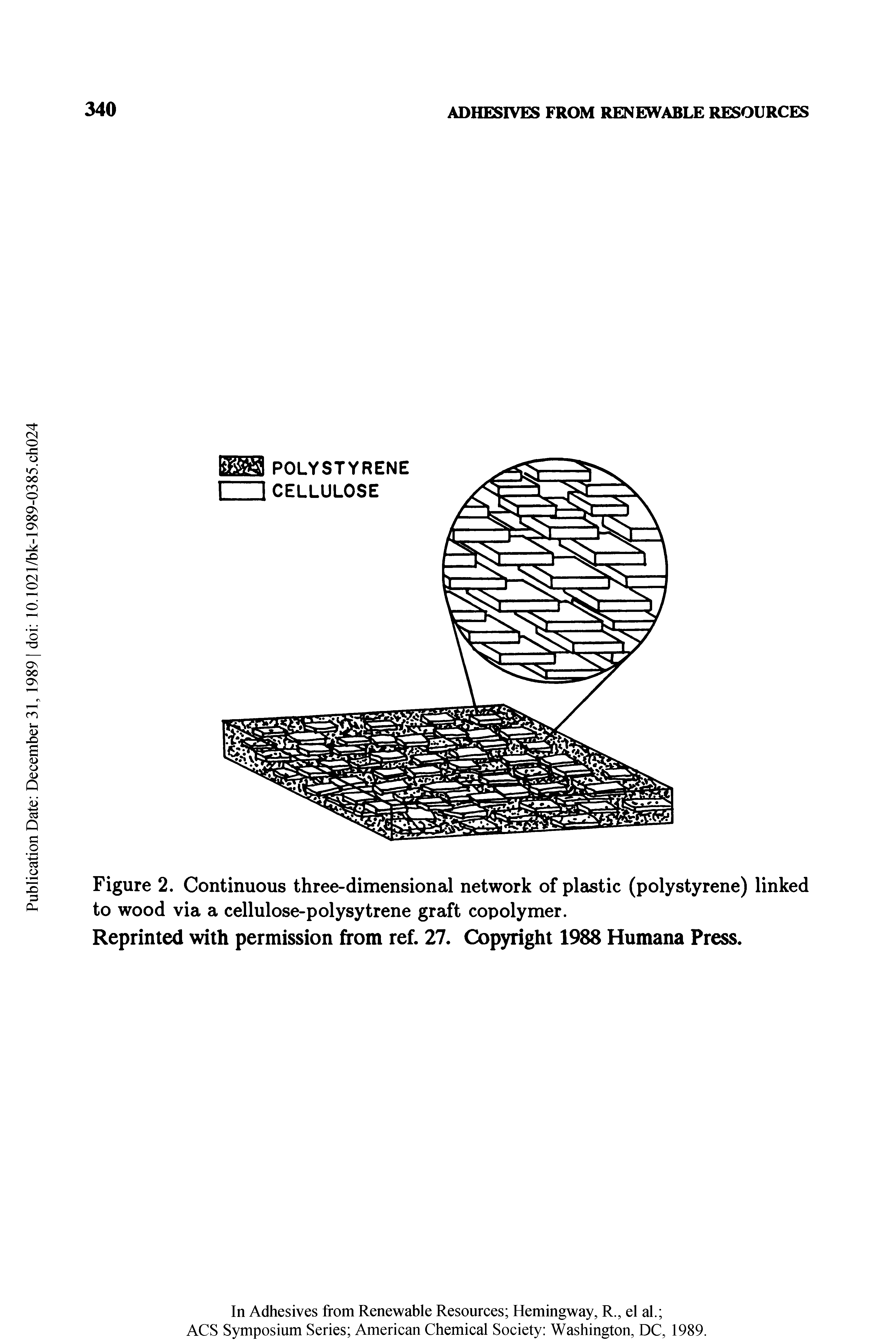 Figure 2. Continuous three-dimensional network of plastic (polystyrene) linked to wood via a cellulose-polysytrene graft copolymer.