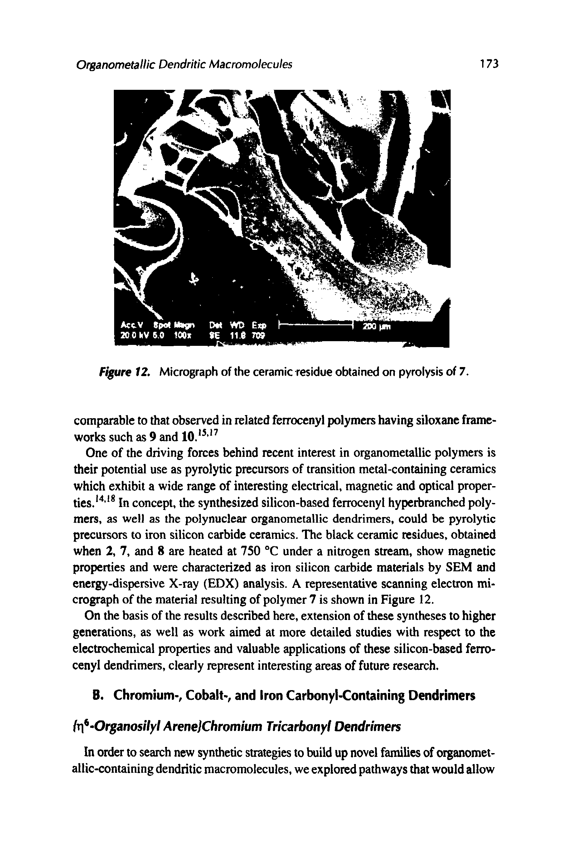 Figure 12. Micrograph of the ceramic residue obtained on pyrolysis of 7.