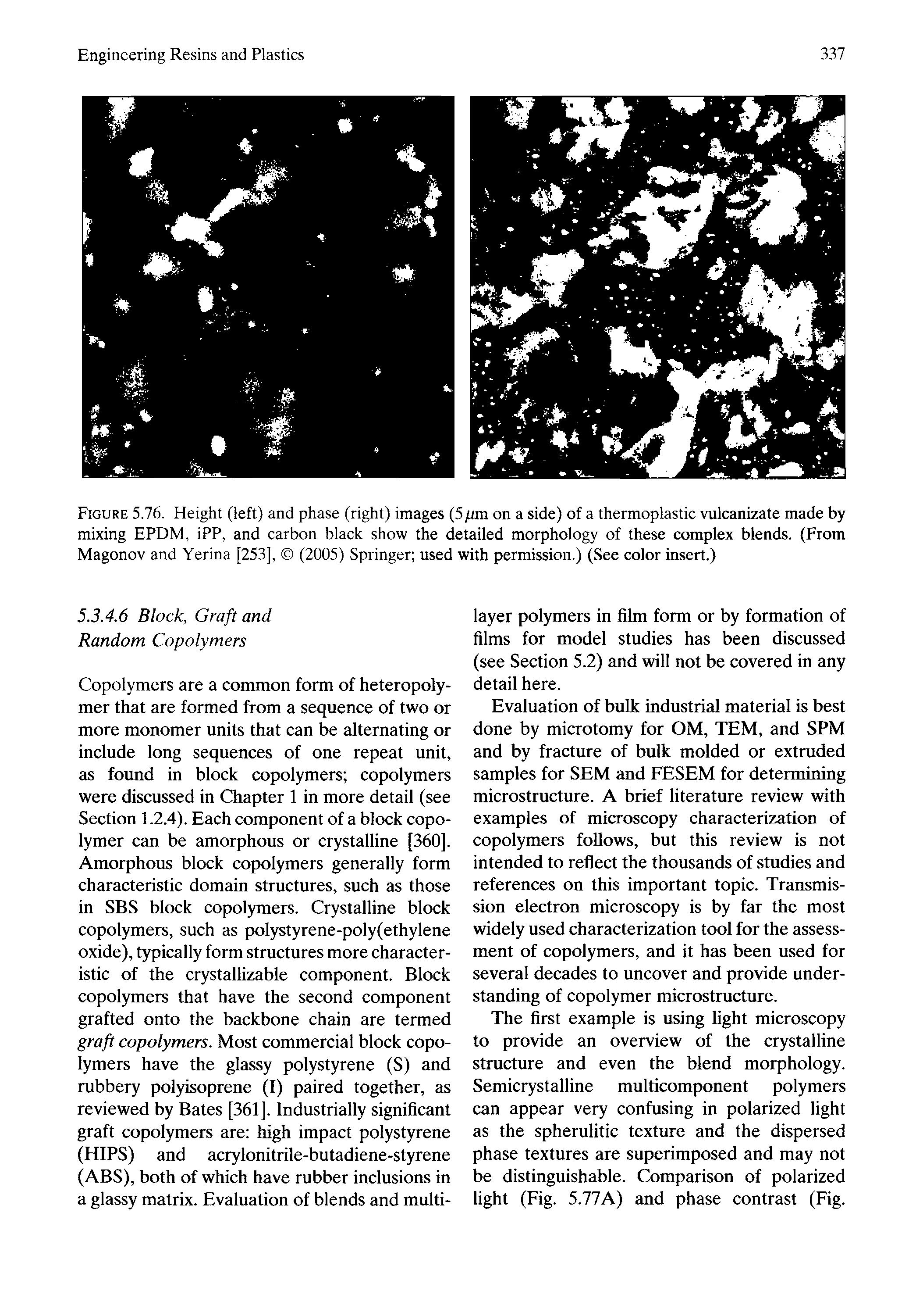 Figure 5.76. Height (left) and phase (right) images (5pm on a side) of a thermoplastic vulcanizate made by mixing EPDM, iPP, and carbon black show the detailed morphology of these complex blends. (From Magonov and Yerina [253], (2005) Springer used with permission.) (See color insert.)...