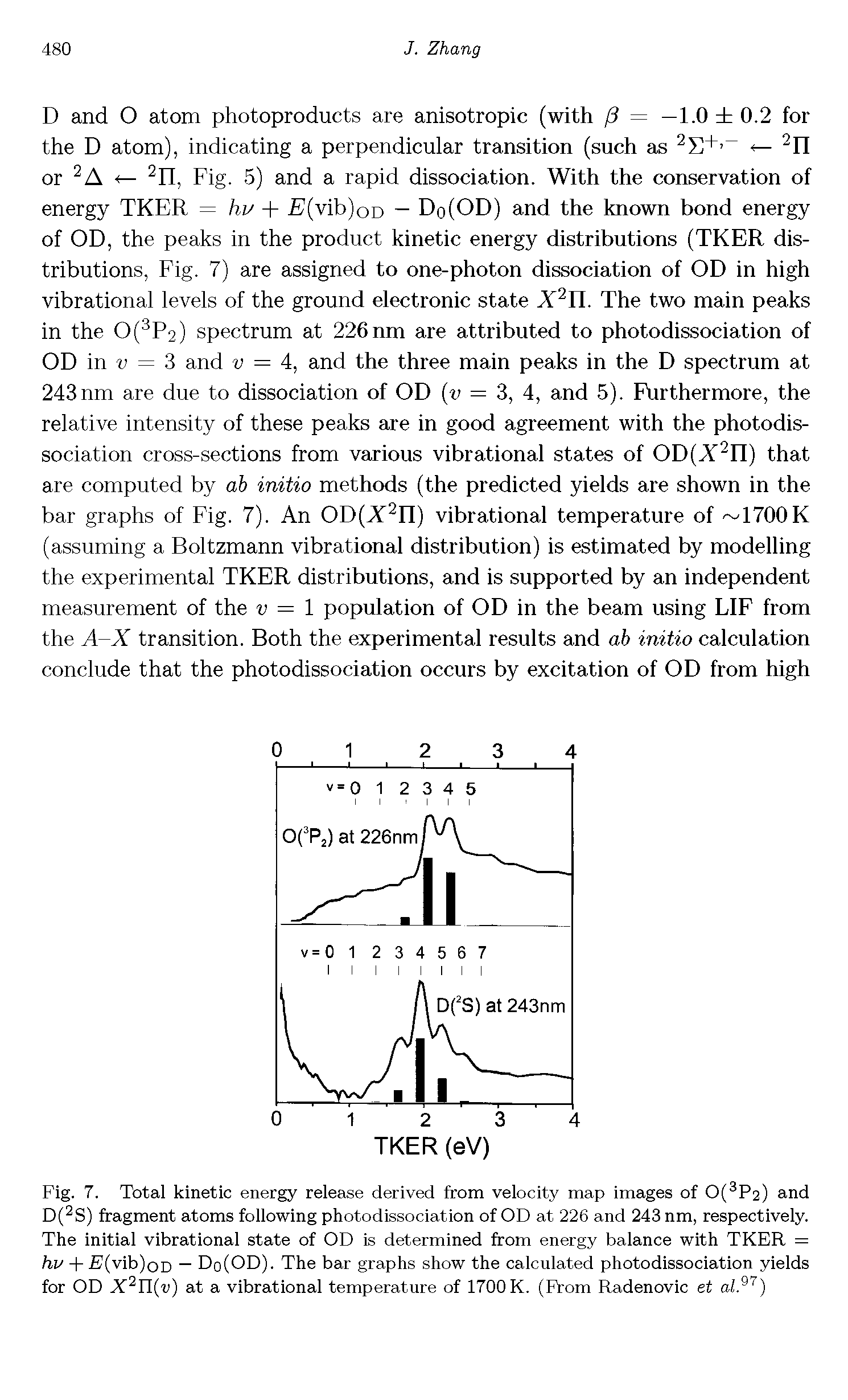 Fig. 7. Total kinetic energy release derived from velocity map images of 0(3P2) and D(2S) fragment atoms following photodissociation of OD at 226 and 243 nm, respectively. The initial vibrational state of OD is determined from energy balance with TKER = hv + E(vib)oD — Do(OD). The bar graphs show the calculated photodissociation yields for OD X2Il(v) at a vibrational temperature of 1700 K. (From Radenovic et al.97)...