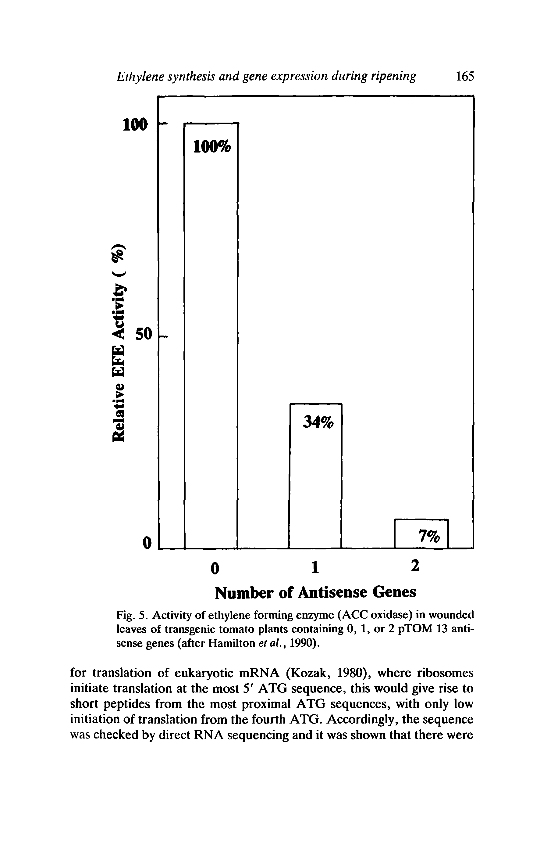 Fig. 5. Activity of ethylene forming enzyme (ACC oxidase) in wounded leaves of transgenic tomato plants containing 0, 1, or 2 pTOM 13 anti-sense genes (after Hamilton et at., 1990).