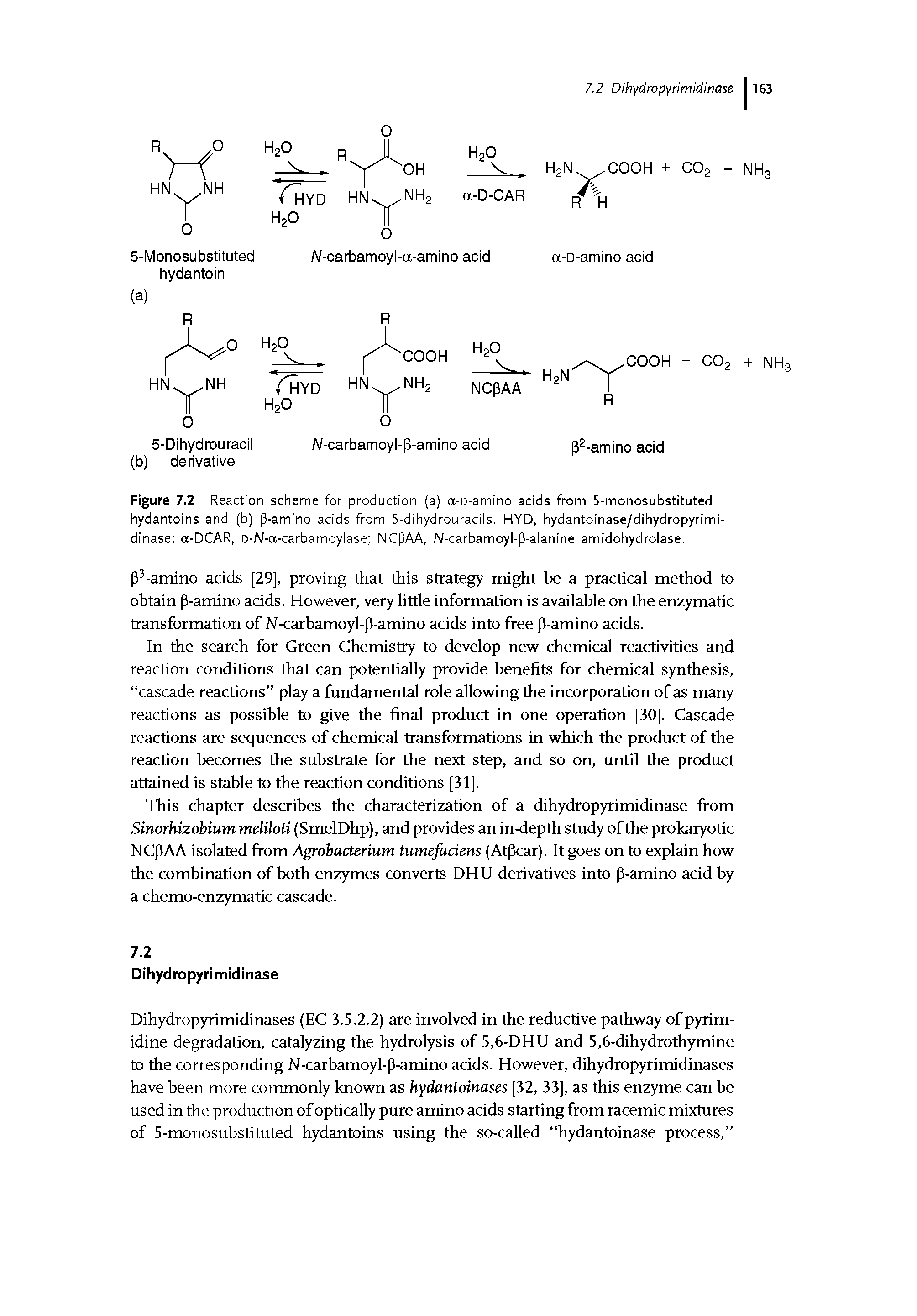 Figure 7.2 Reaction scheme for production (a) a-D-amino acids from 5-monosubstituted hydantoins and (b) p-amino acids from 5-dihydrouracils. HYD, hydantoinase/dihydropyrimi-dinase a-DCAR, D-N-a-carbamoylase NCpAA, N-carbamoyl-p-alanine amidohydrolase.