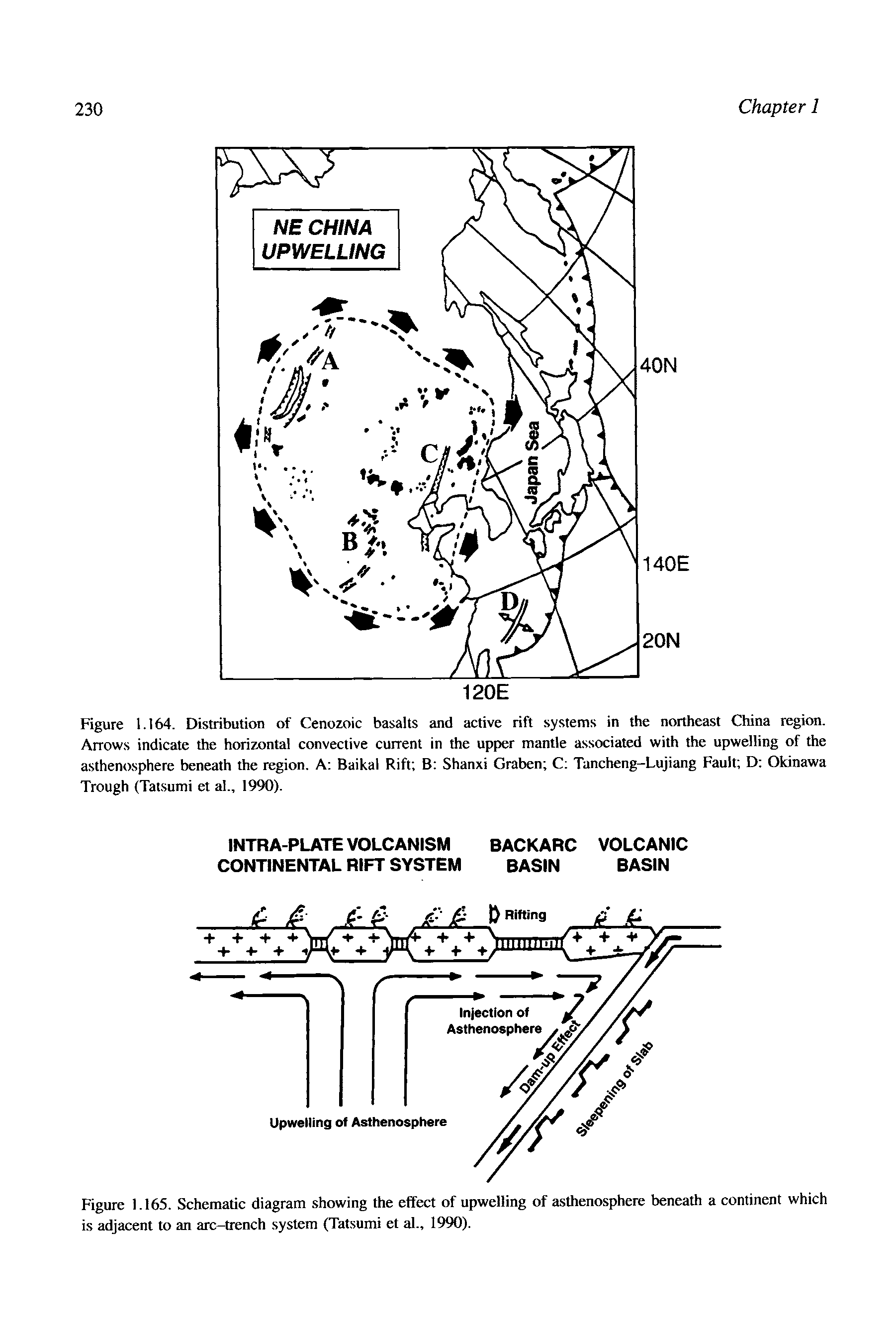 Figure 1.165. Schematic diagram showing the effect of upwelling of asthenosphere beneath a continent which is adjacent to an arc-trench. system (Tatsumi et al., 1990).