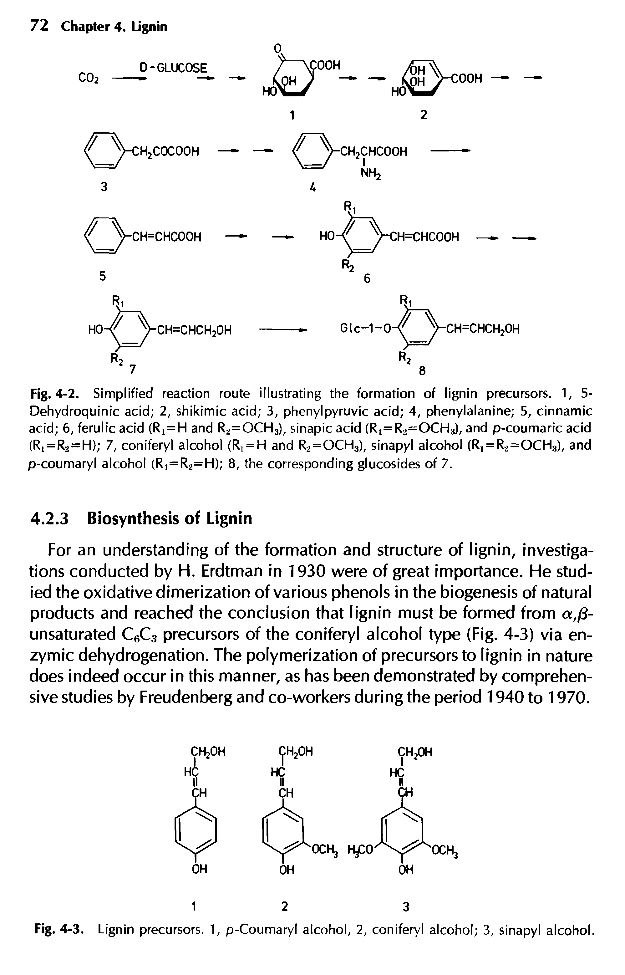 Fig. 4-2. Simplified reaction route illustrating the formation of lignin precursors. 1, 5-Dehydroquinic acid 2, shikimic acid 3, phenylpyruvic acid 4, phenylalanine 5, cinnamic acid 6, ferulic acid (Ri=H and R2=OCH3), sinapic acid (R,= R2=OCH3), and p-coumaric acid (R1=R2 = H) 7, coniferyl alcohol (Ri = H and R2=OCH3), sinapyl alcohol (Rj = R2=OCH3), and p-coumaryl alcohol (R =R2=H) 8, the corresponding glucosides of 7.