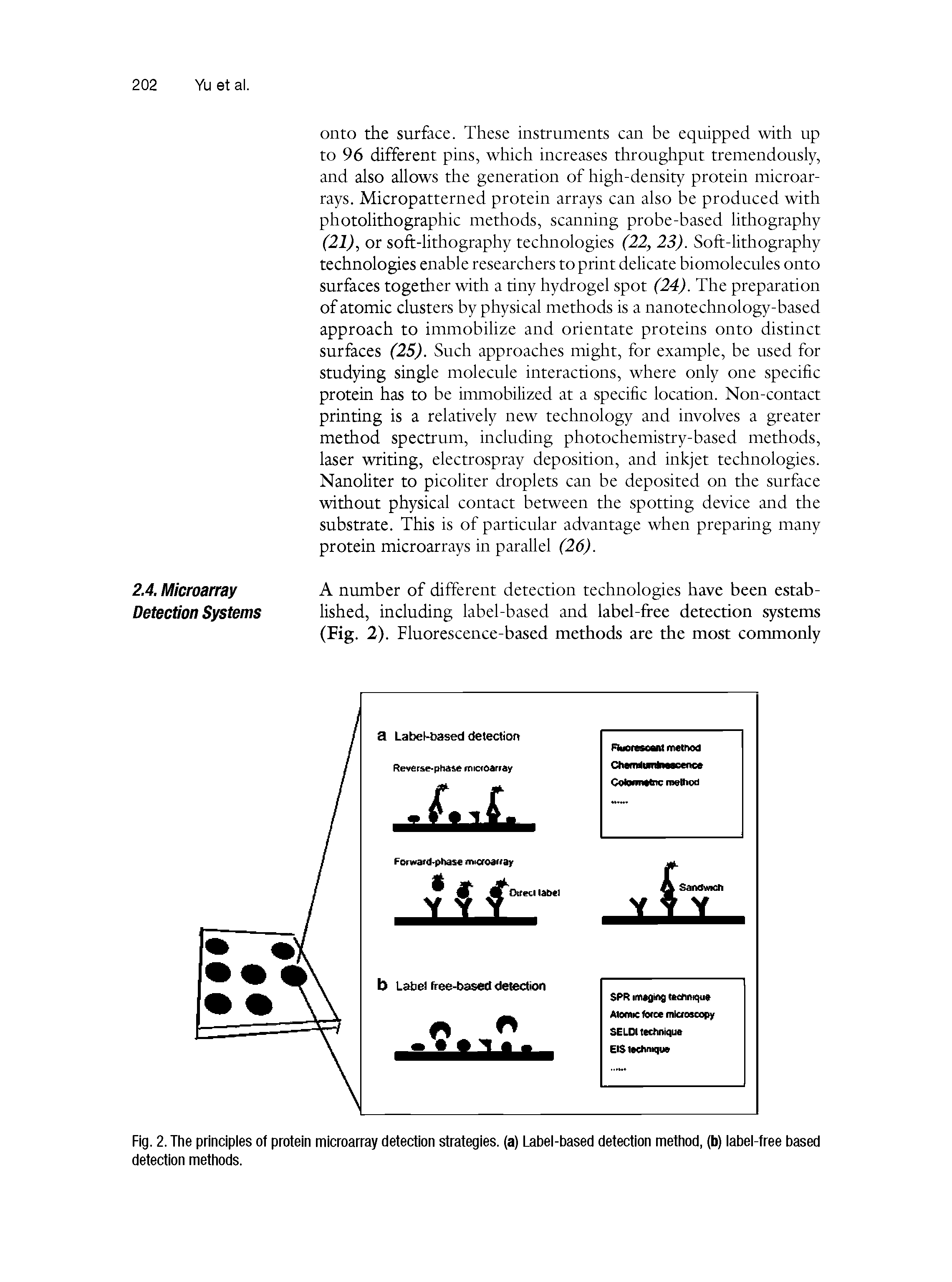 Fig. 2. The principles of protein microarray detection strategies, (a) Label-based detection method, (b) label-free based detection methods.