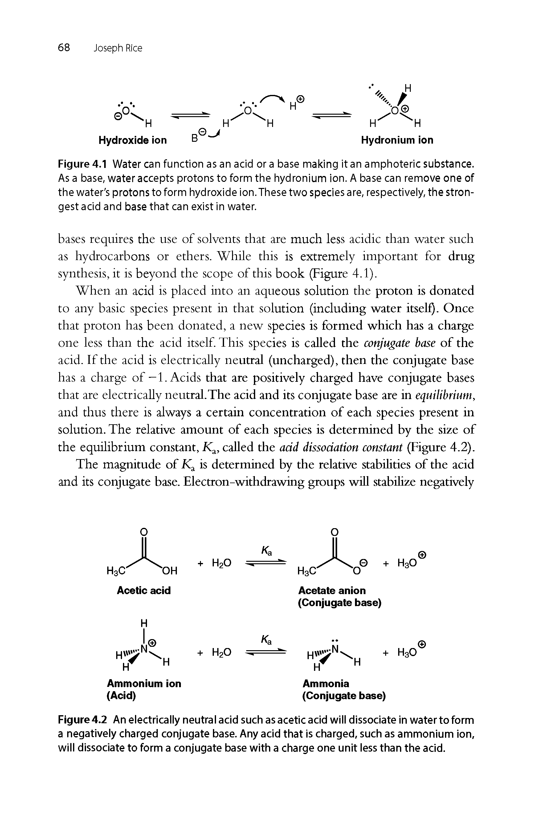 Figure4.2 An electrically neutral acid such as acetic acid will dissociate in water to form a negatively charged conjugate base. Any acid that is charged, such as ammonium ion, will dissociate to form a conjugate base with a charge one unit less than the acid.