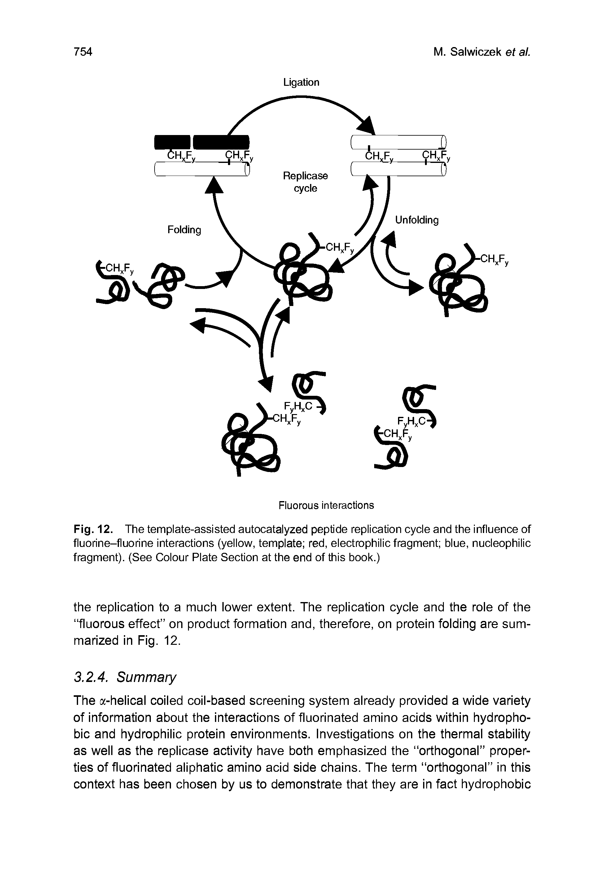 Fig. 12. The template-assisted autocatalyzed peptide replication cycle and the influence of fluorine-fluorine interactions (yellow, template red, electrophilic fragment blue, nucleophilic fragment). (See Colour Plate Section at the end of this book.)...