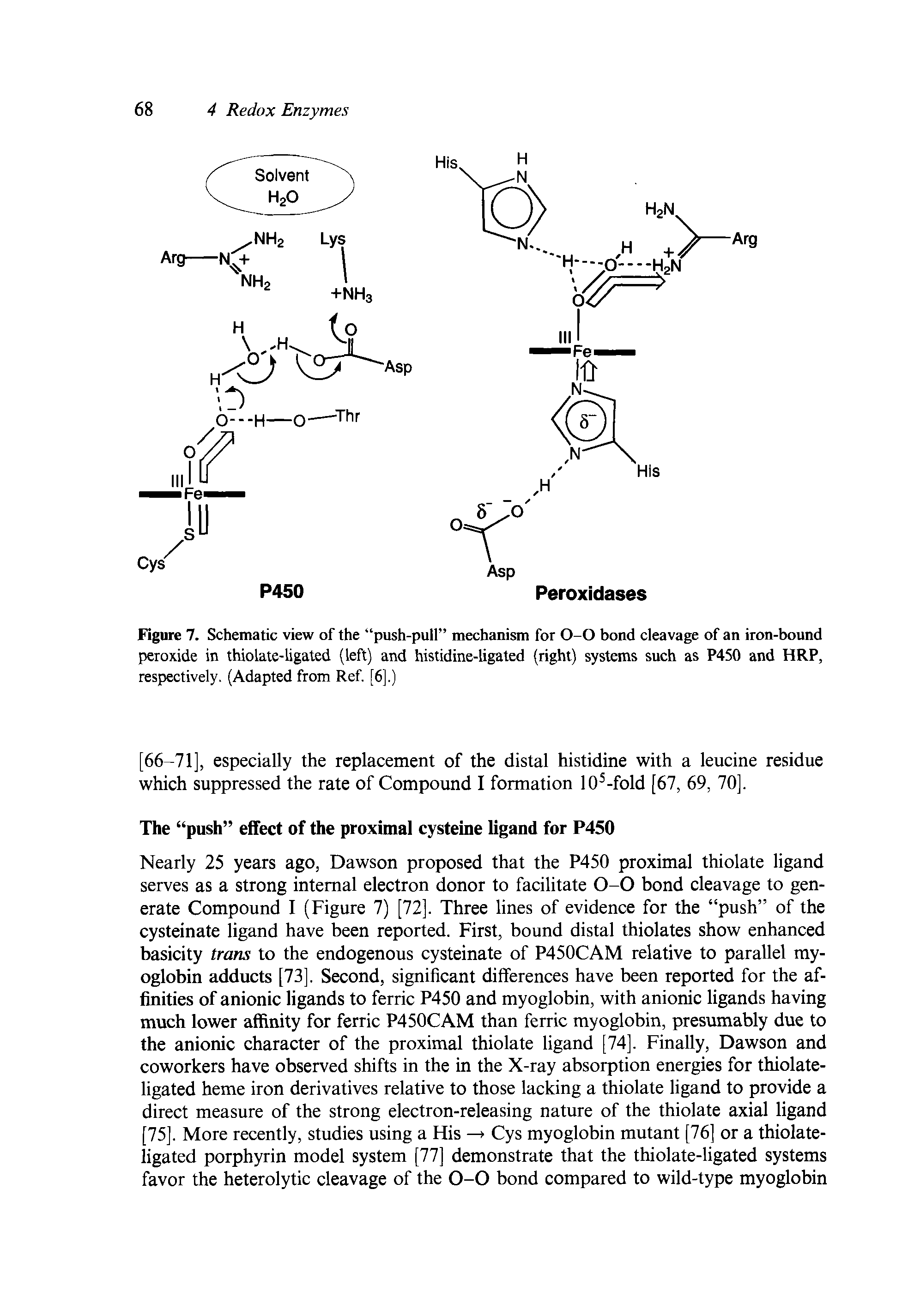 Figure 7. Schematic view of the push-pull mechanism for 0-0 bond cleavage of an iron-bound peroxide in thiolate-ligated (left) and histidine-ligated (right) systems such as P450 and HRP, respectively. (Adapted from Ref. [6].)...