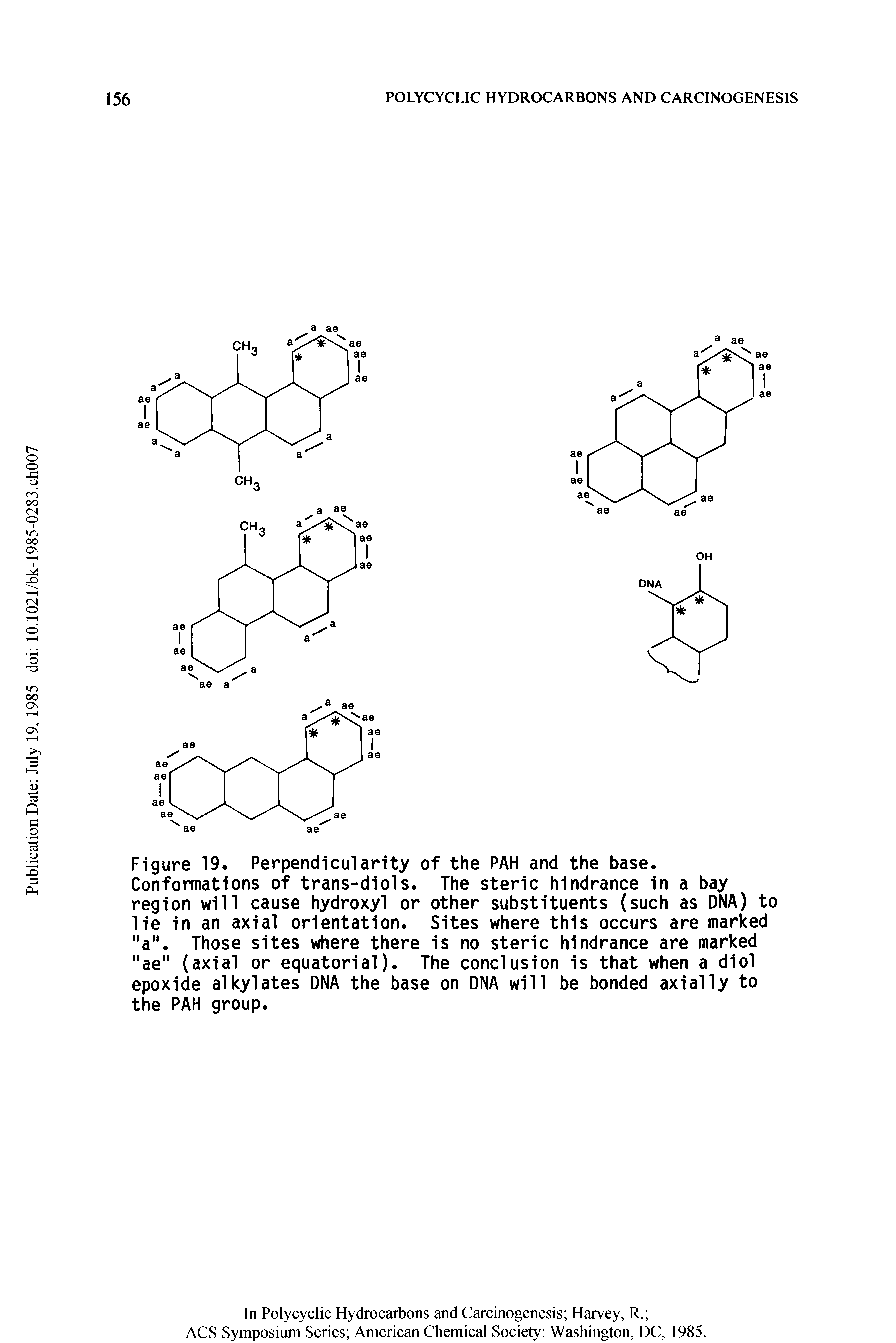 Figure 19. Perpendicularity of the PAH and the base. Conformations of trans-diols. The steric hindrance in a bay region will cause hydroxyl or other substituents (such as DNA) to lie in an axial orientation. Sites where this occurs are marked "a". Those sites where there is no steric hindrance are marked "ae" (axial or equatorial). The conclusion is that when a diol epoxide alkylates DNA the base on DNA will be bonded axially to the PAH group.