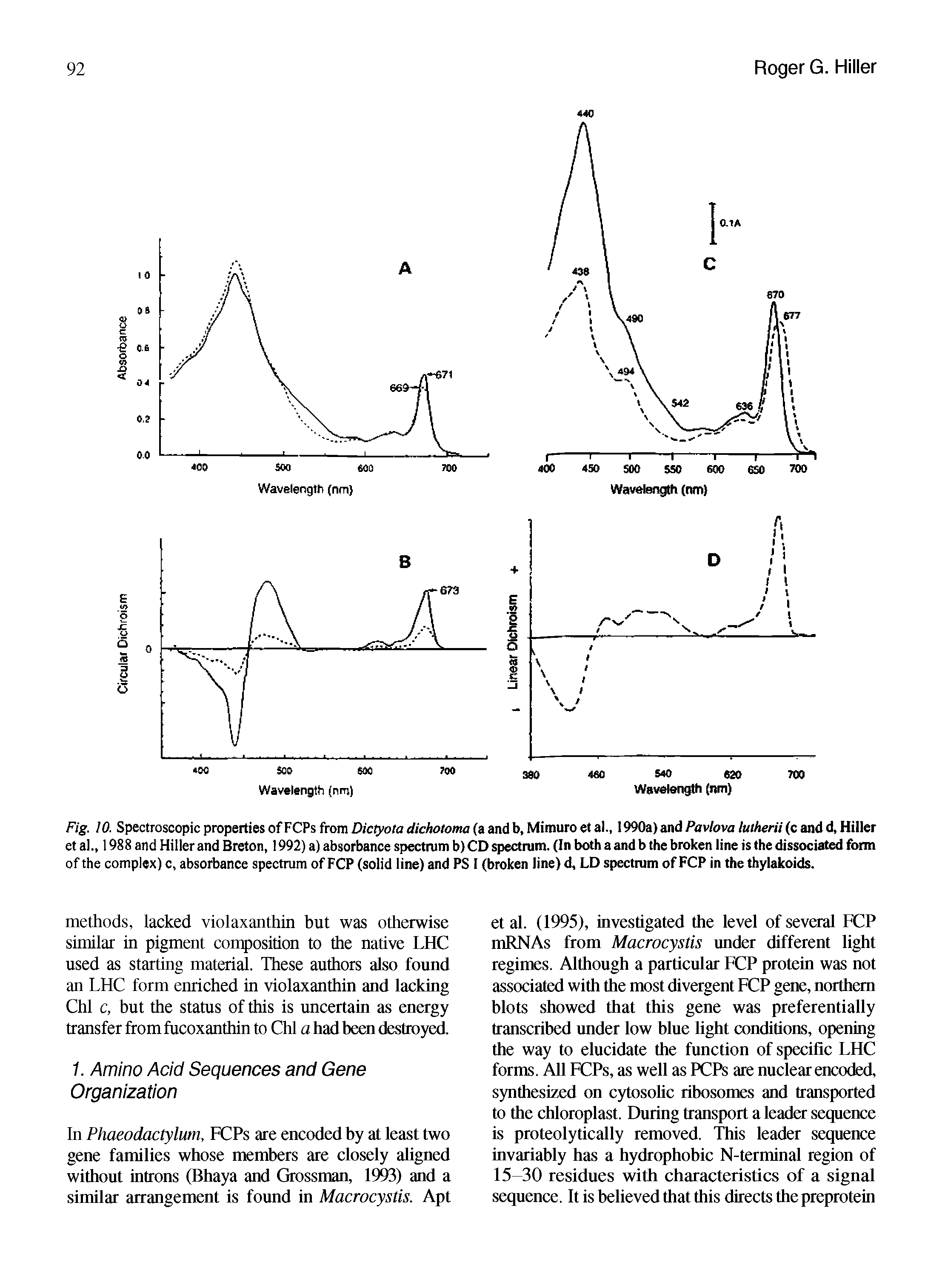 Fig. 10. Spectroscopic properties of FCPs from Dictyota dichotoma (a and b, Mimuro et al., 1990a) and Pavlova luiherii (c and d, Hiller et al., 1988 and Hiller and Breton, 1992) a) absorbance spectrum b) CD spectrum. (In both a and b the broken line is the dissociated form of the complex) c, absorbance spectrum of FCP (solid line) and PS I (broken line) d, LD spectrum of FCP in the thylakoids.