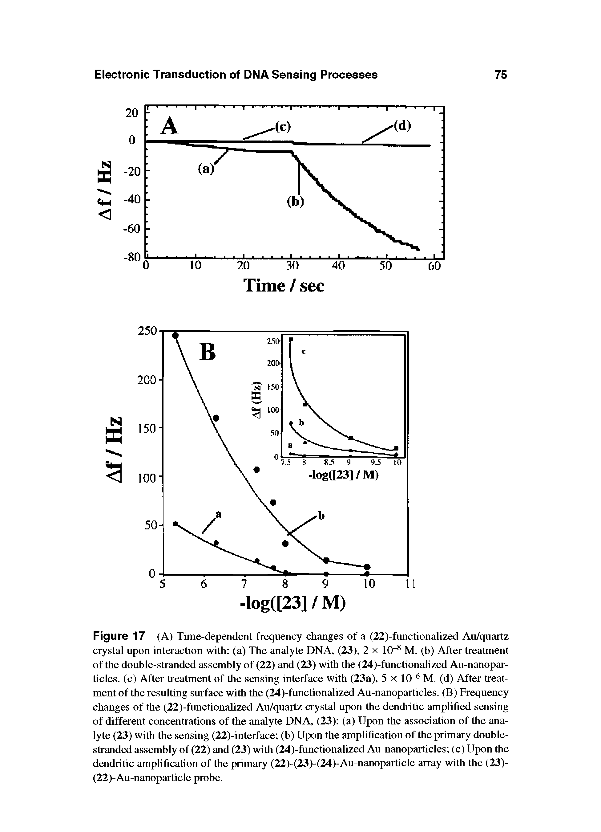 Figure 17 (A) Time-dependent frequency changes of a (22)-functionalized Au/quartz crystal upon interaction with (a) The analyte DNA, (23), 2 x 10 M. (b) After treatment of the double-stranded assembly of (22) and (23) with the (24)-functionahzed Au-nanopar-ticles. (c) After treatment of the sensing interface with (23a), 5 x KT M. (d) After treatment of the resulting surface with the (24)-functionalized Au-nanoparticles. (B) Frequency changes of the (22)-functionahzed Au/quartz crystal upon the dendritic amplified sensing of different concentrations of the analyte DNA, (23) (a) Upon the association of the analyte (23) with the sensing (22)-interface (b) Upon the amplification of the primary double-stranded assembly of (22) and (23) with (24)-functionalized Au-nanoparticles (c) Upon the dendritic amphfication of the primary (22)-(23)-(24)-Au-nanoparticle array with the (23)-(22)-Au-nanoparticle probe.
