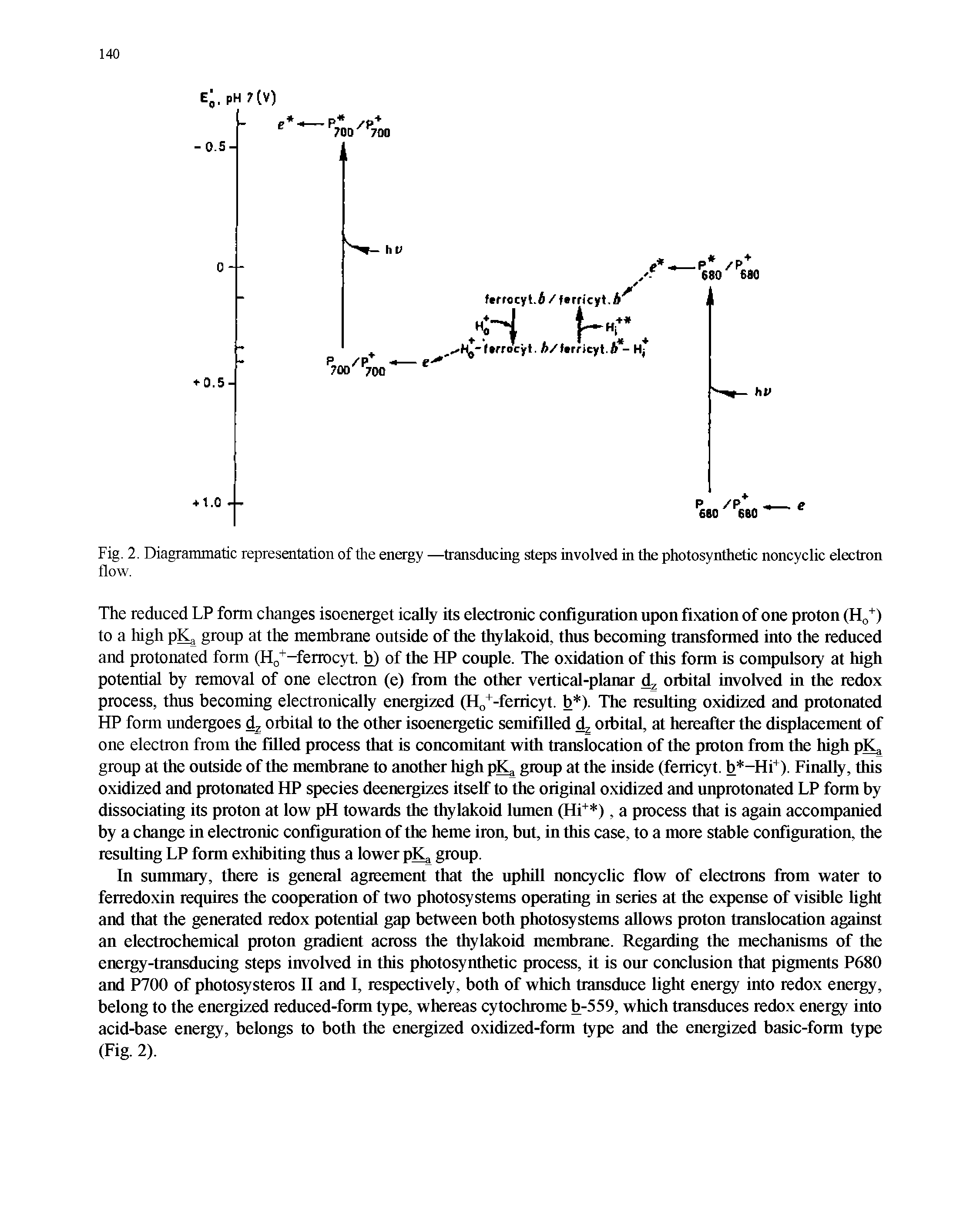 Fig. 2. Diagrammatic representation of the energy —transducing steps involved in the photosynthetic noncyclic electron flow.