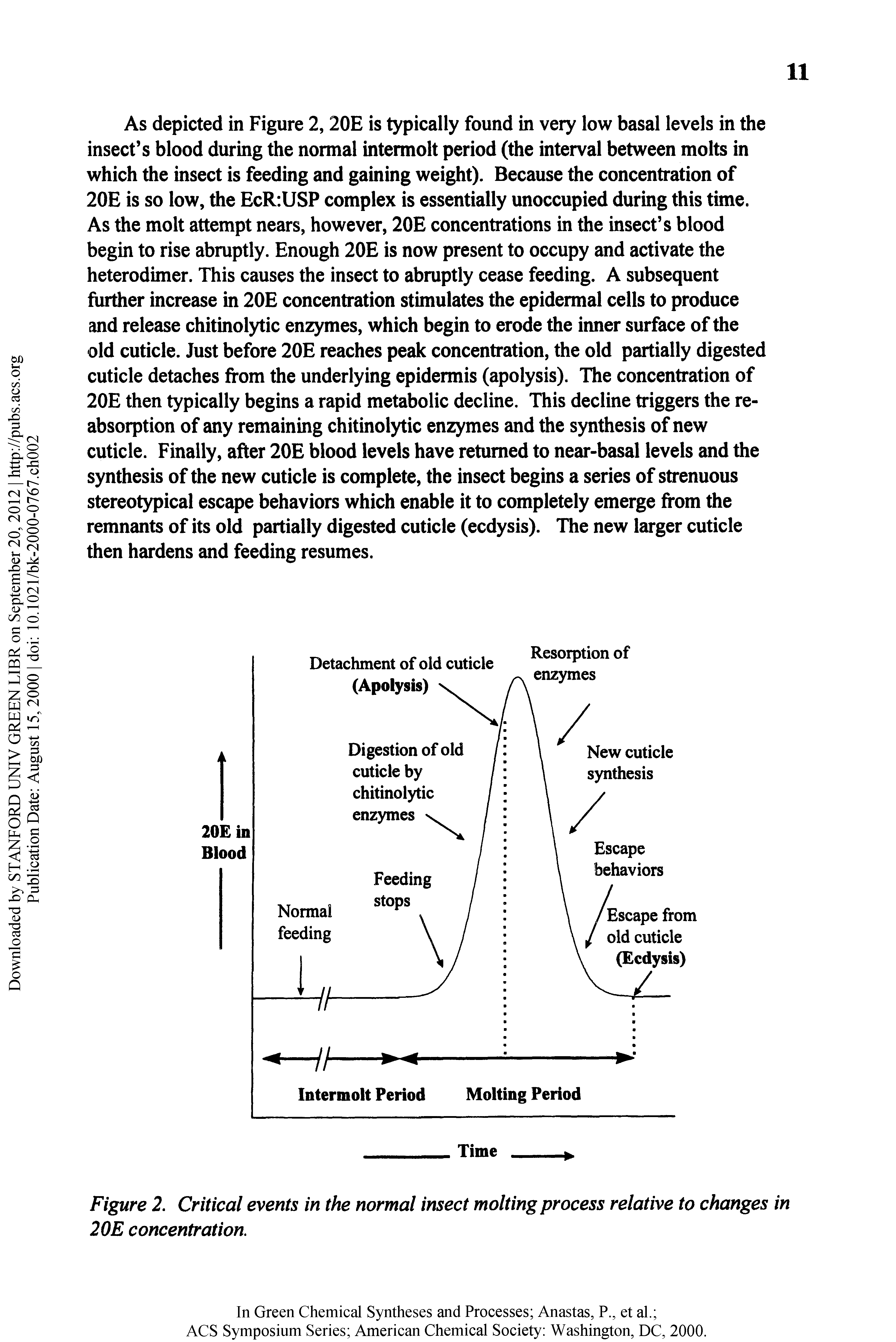 Figure 2. Critical events in the normal insect molting process relative to changes in 20E concentration.