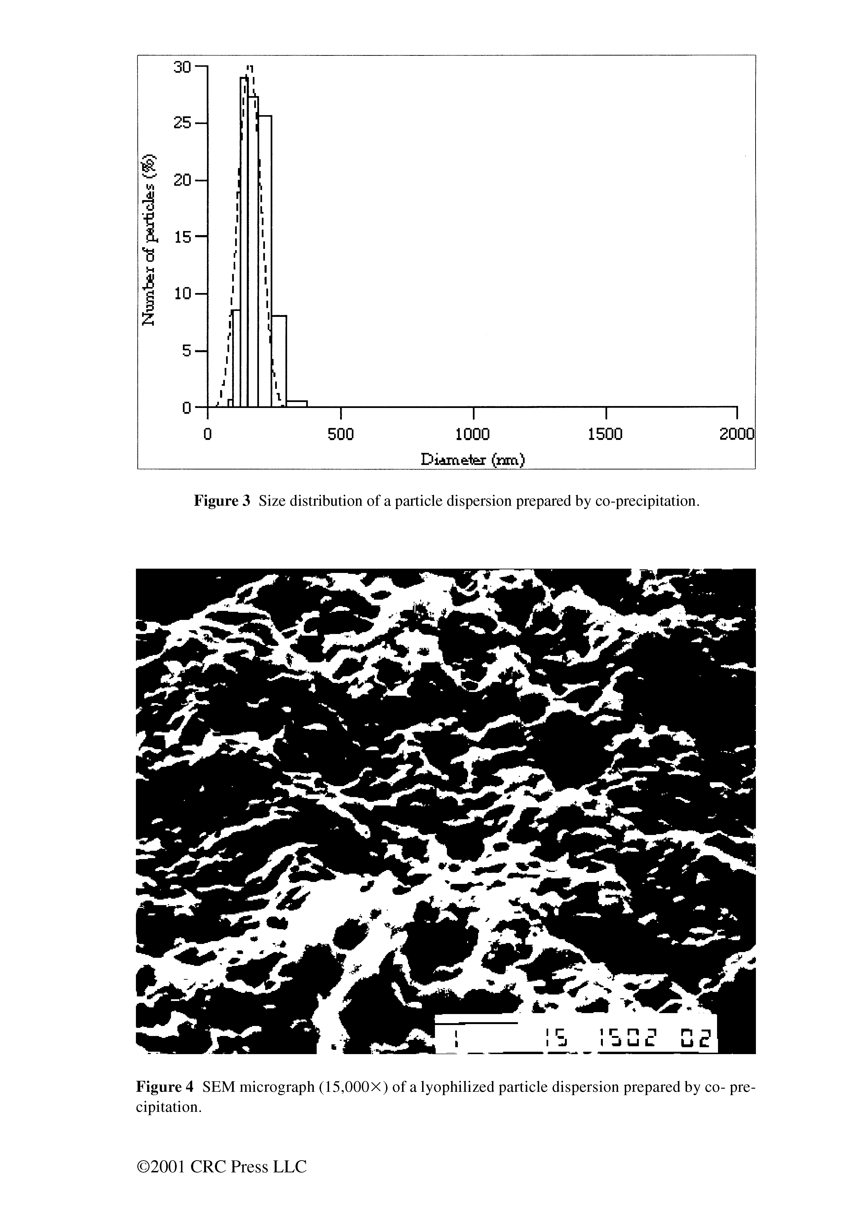 Figure 4 SEM micrograph (15,000X) of a lyophilized particle dispersion prepared by co- precipitation.