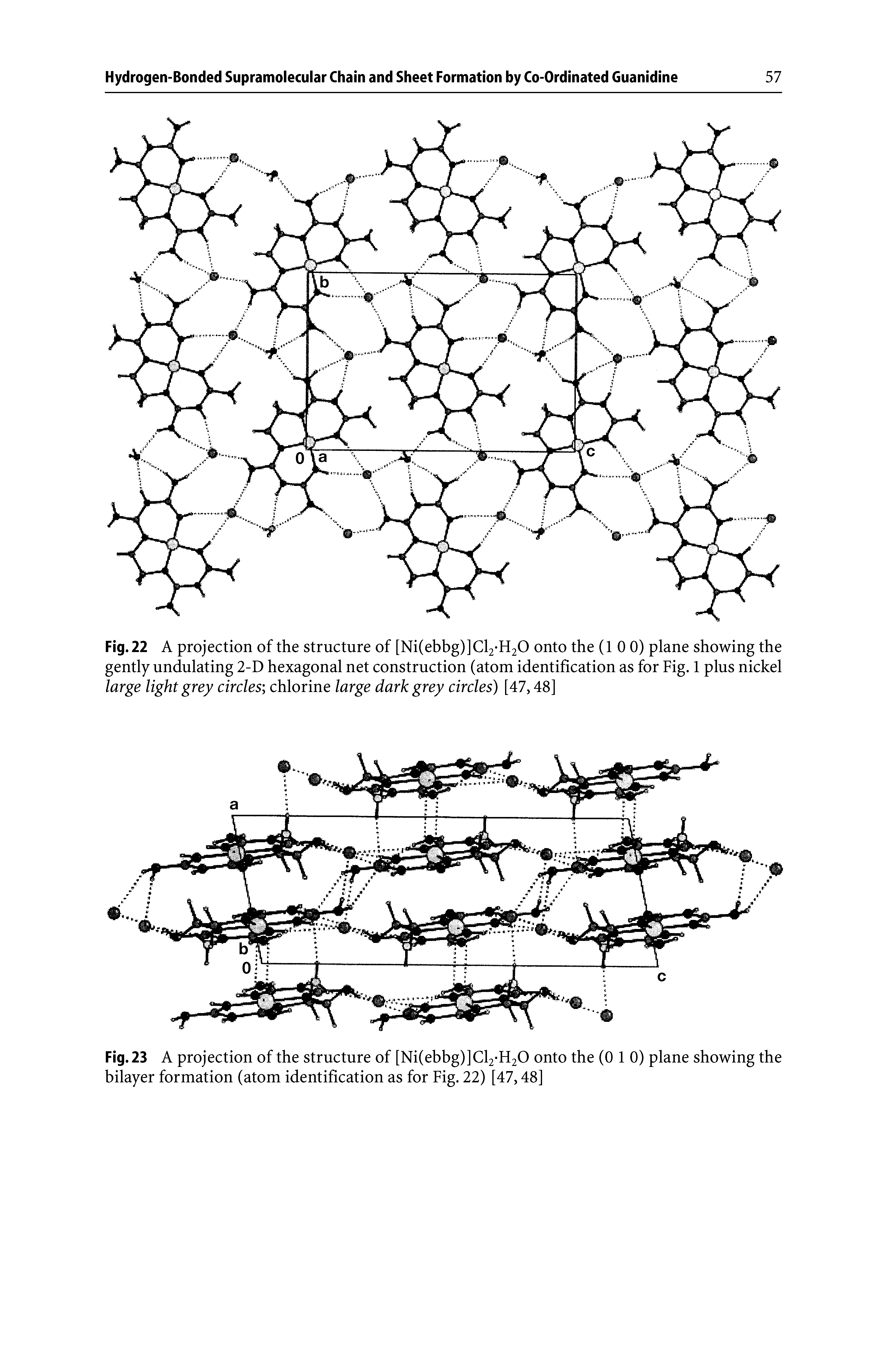 Fig. 23 A projection of the structure of [Ni(ebbg)]Cl2-H20 onto the (0 1 0) plane showing the bilayer formation (atom identification as for Fig. 22) [47,48]...