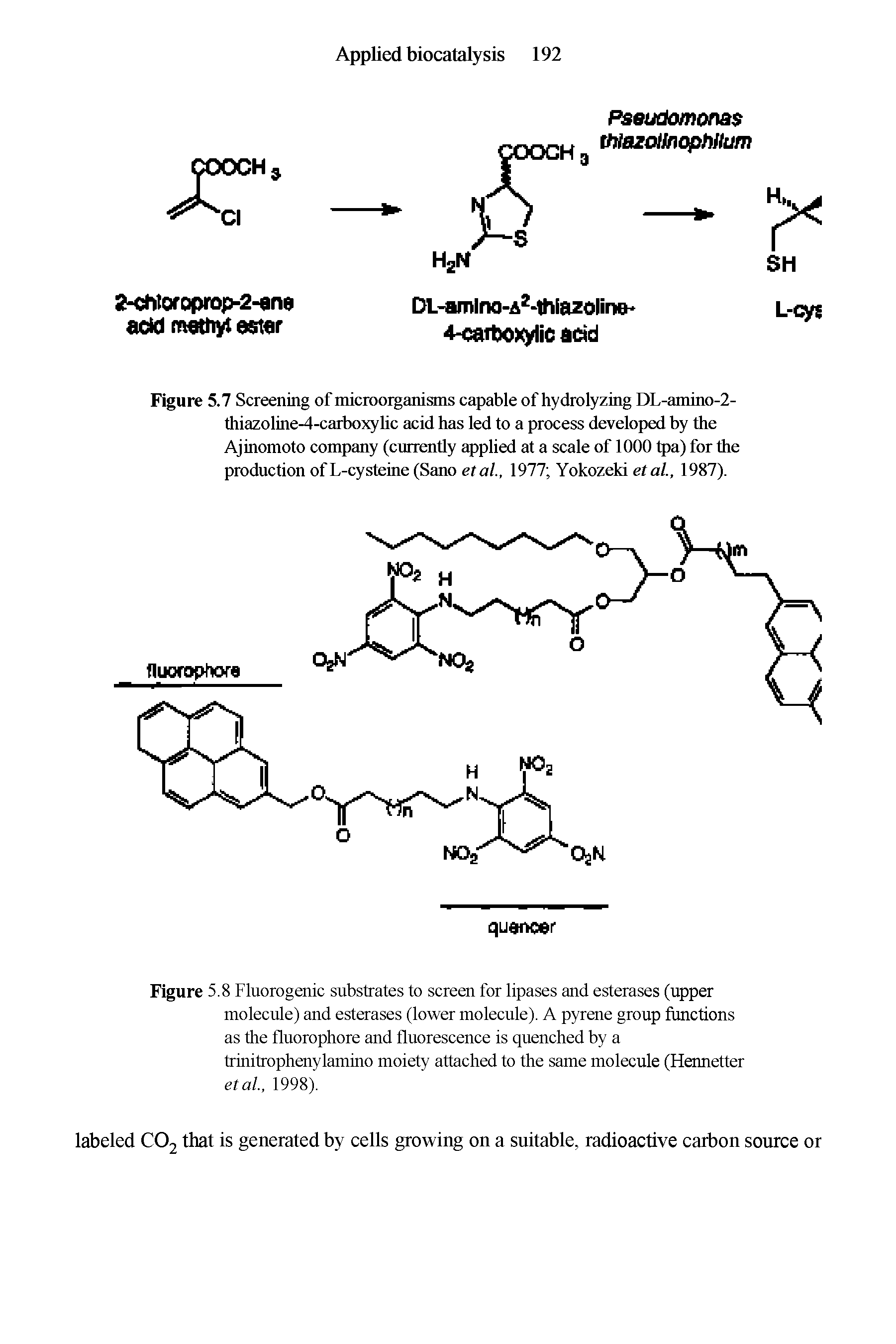 Figure 5.7 Screening of microorganisms capable of hydrolyzing DL-amino-2-thiazolme-4-carboxyhc acid has led to a process developed by the Ajinomoto company (currently applied at a scale of 1000 tpa) for the production of L-cysteine (Sano etai, 1977 Yokozeki etal., 1987).