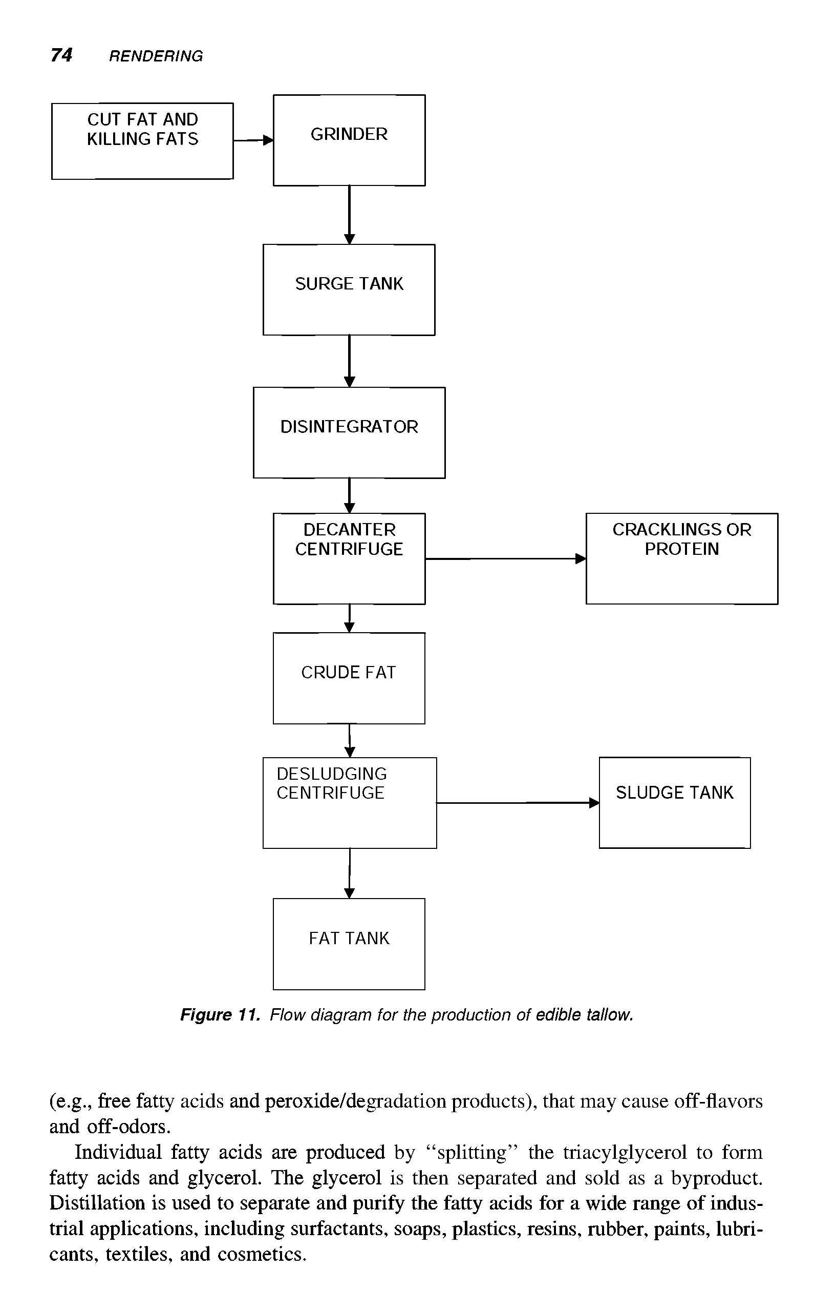 Figure 11. Flow diagram for the production of edible tallow.