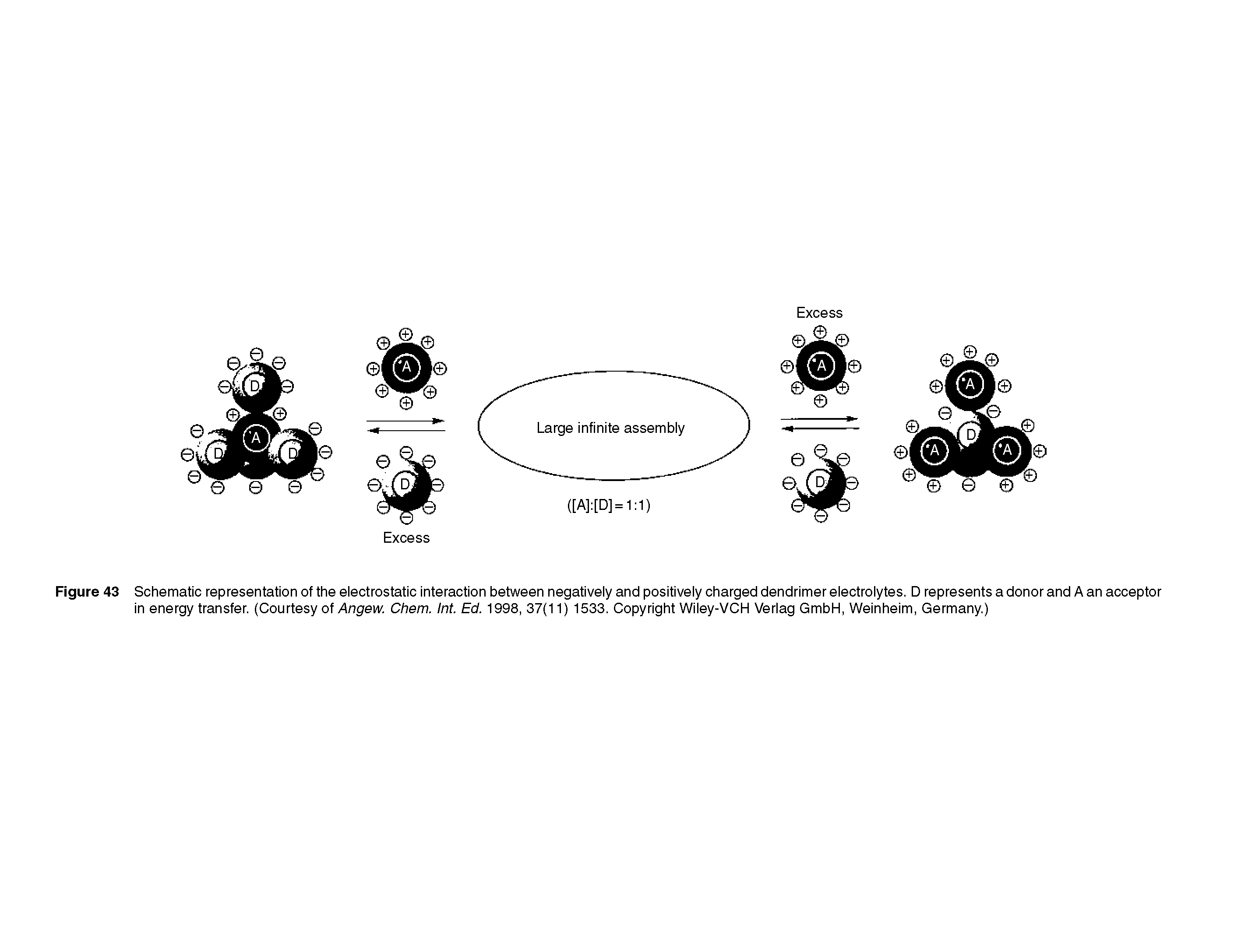 Figure 43 Schematic representation of the eiectrostatic interaction between negativeiy and positiveiy charged dendrimer eiectroiytes. D represents a donor and A an acceptor in energy transfer. (Courtesy of Angew. Chem. Int. Ed. 1998, 37(11) 1533. Copyright Wiiey-VCH Veriag GmbH, Weinheim, Germany.)...