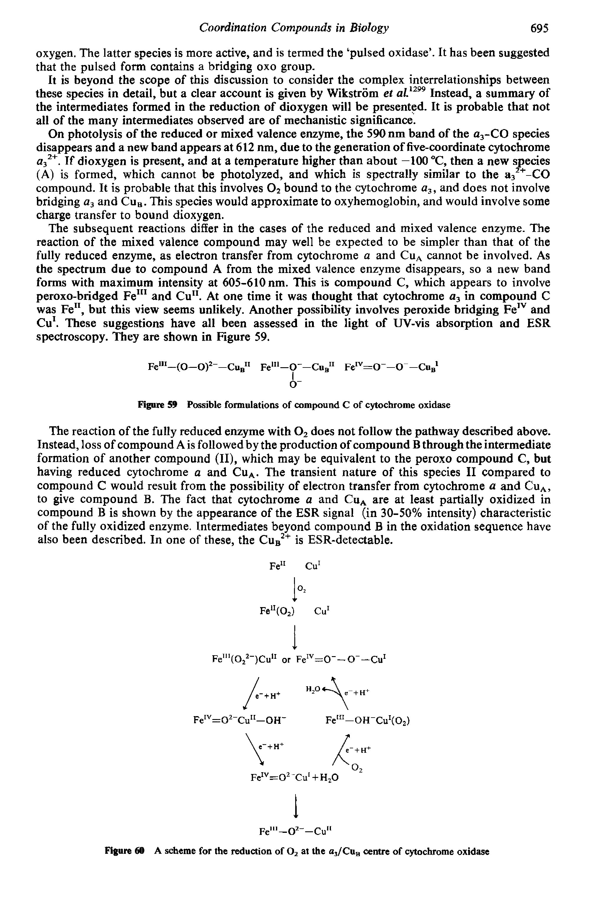 Figure 59 Possible formulations of compound C of cytochrome oxidase...