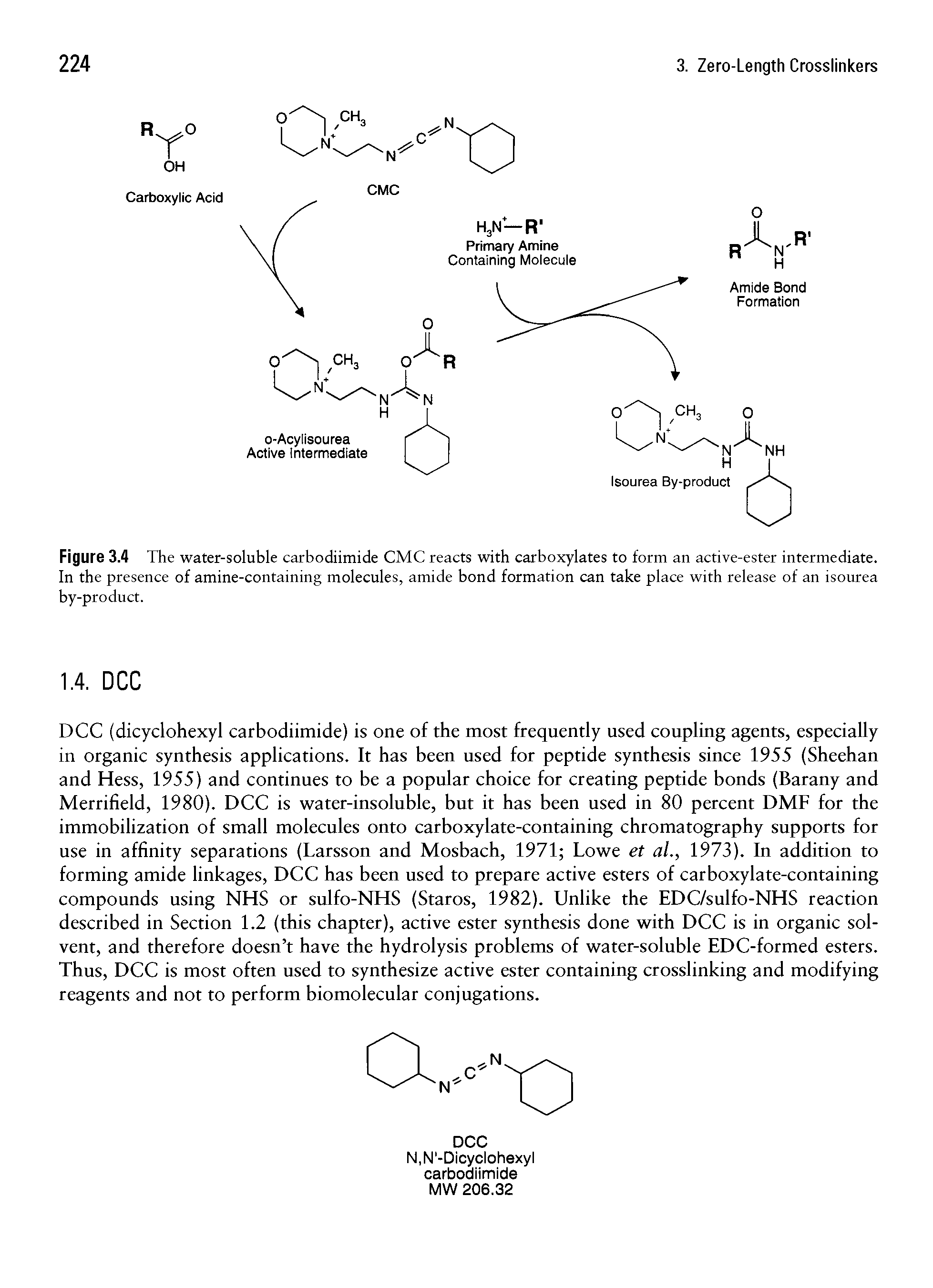 Figure 3.4 The water-soluble carbodiimide CMC reacts with carboxylates to form an active-ester intermediate. In the presence of amine-containing molecules, amide bond formation can take place with release of an isourea by-product.