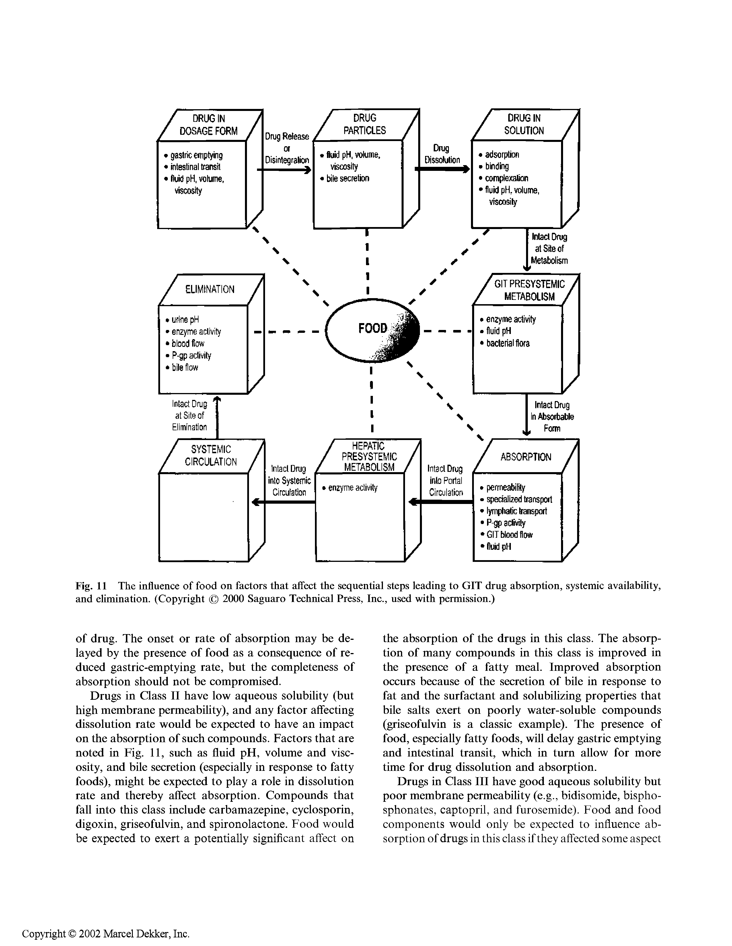 Fig. 11 The influence of food on factors that affect the sequential steps leading to GIT drug absorption, systemic availability, and elimination. (Copyright 2000 Saguaro Technical Press, Inc., used with permission.)...