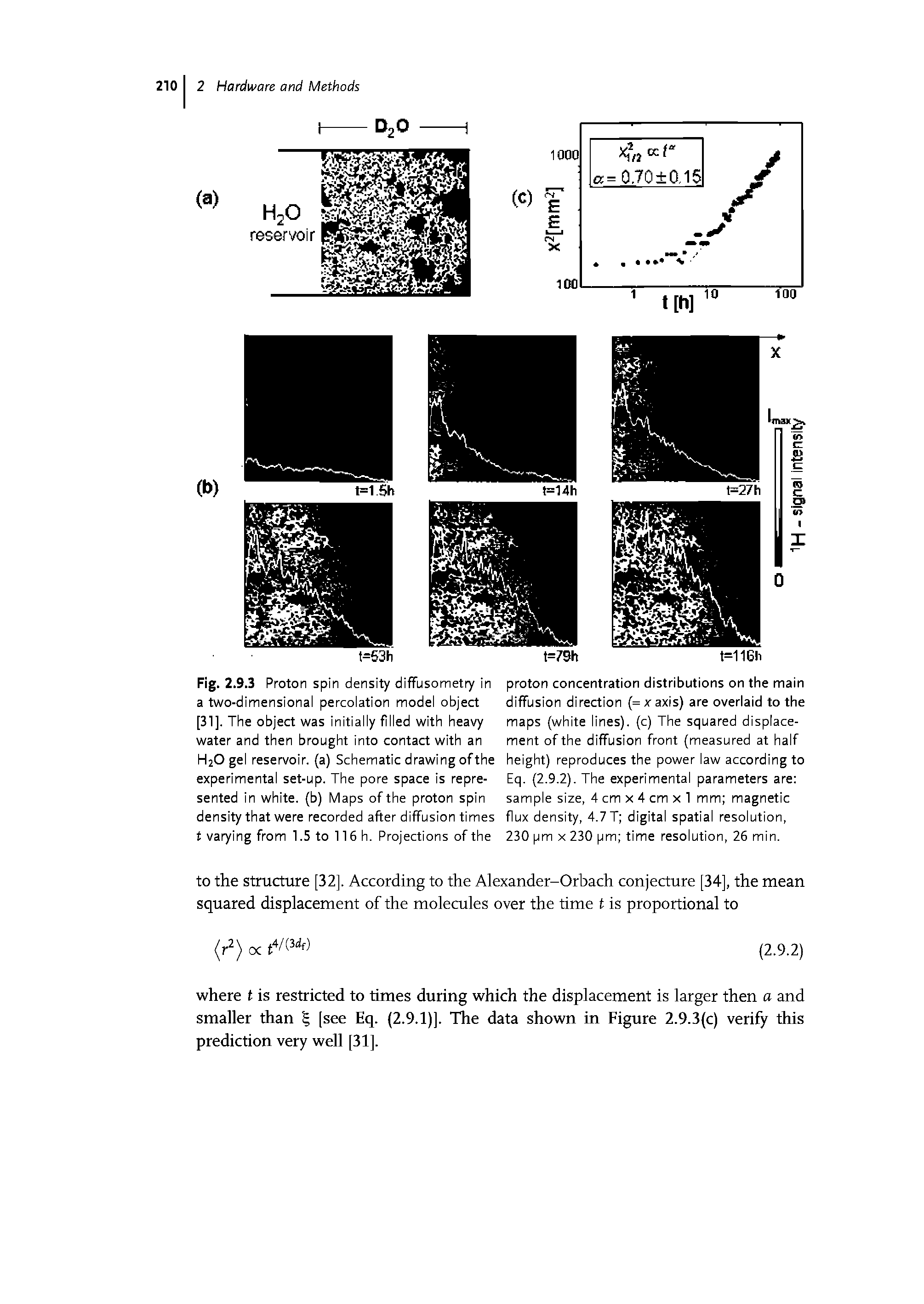 Fig. 2.9.3 Proton spin density diffusometry in a two-dimensional percolation model object [31]. The object was initially filled with heavy water and then brought into contact with an H2O gel reservoir, (a) Schematic drawing ofthe experimental set-up. The pore space is represented in white, (b) Maps ofthe proton spin density that were recorded after diffusion times t varying from 1.5 to 116 h. Projections of the...