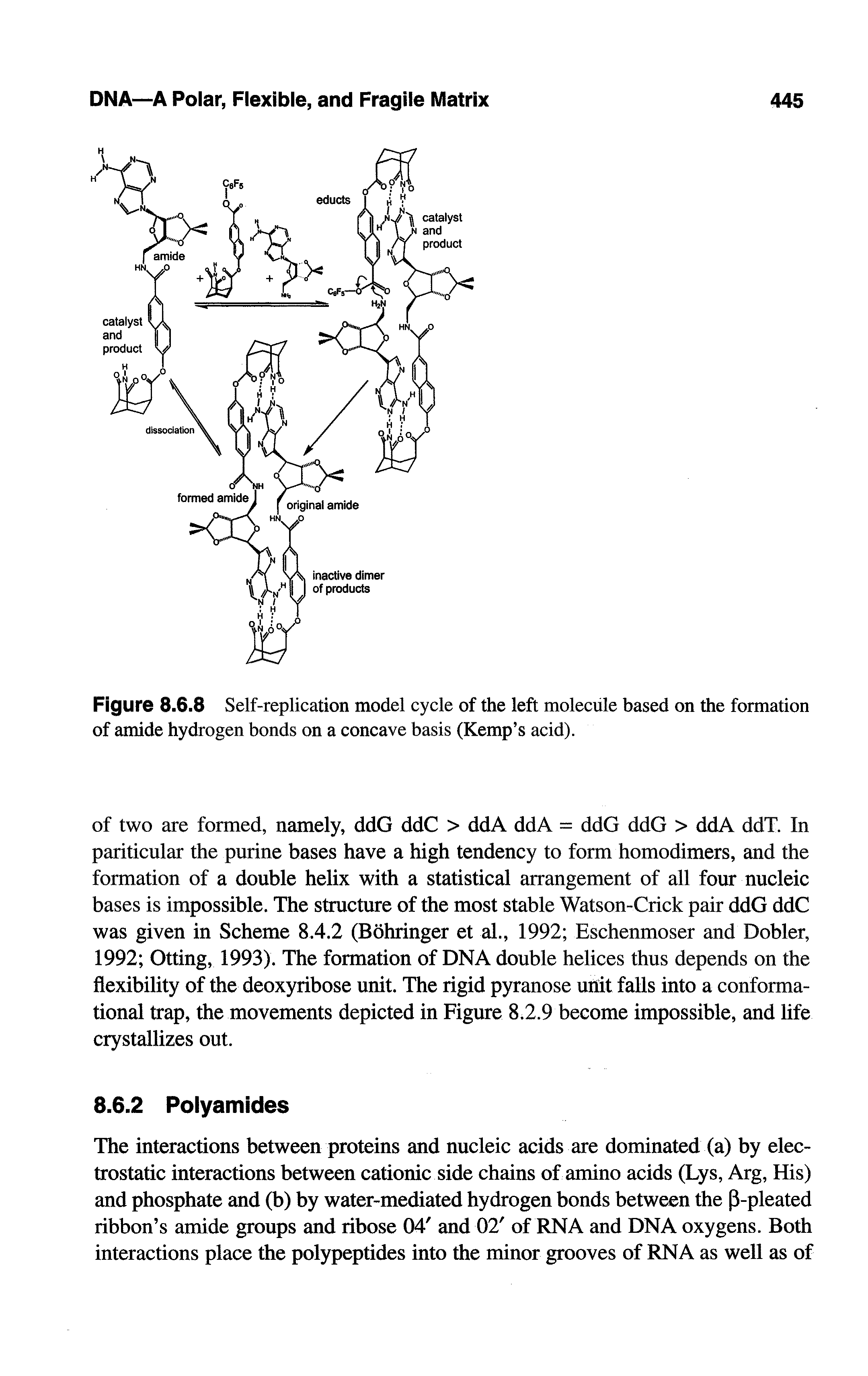 Figure 8.6.8 Self-replication model cycle of the left molecule based on the formation of amide hydrogen bonds on a concave basis (Kemp s acid).