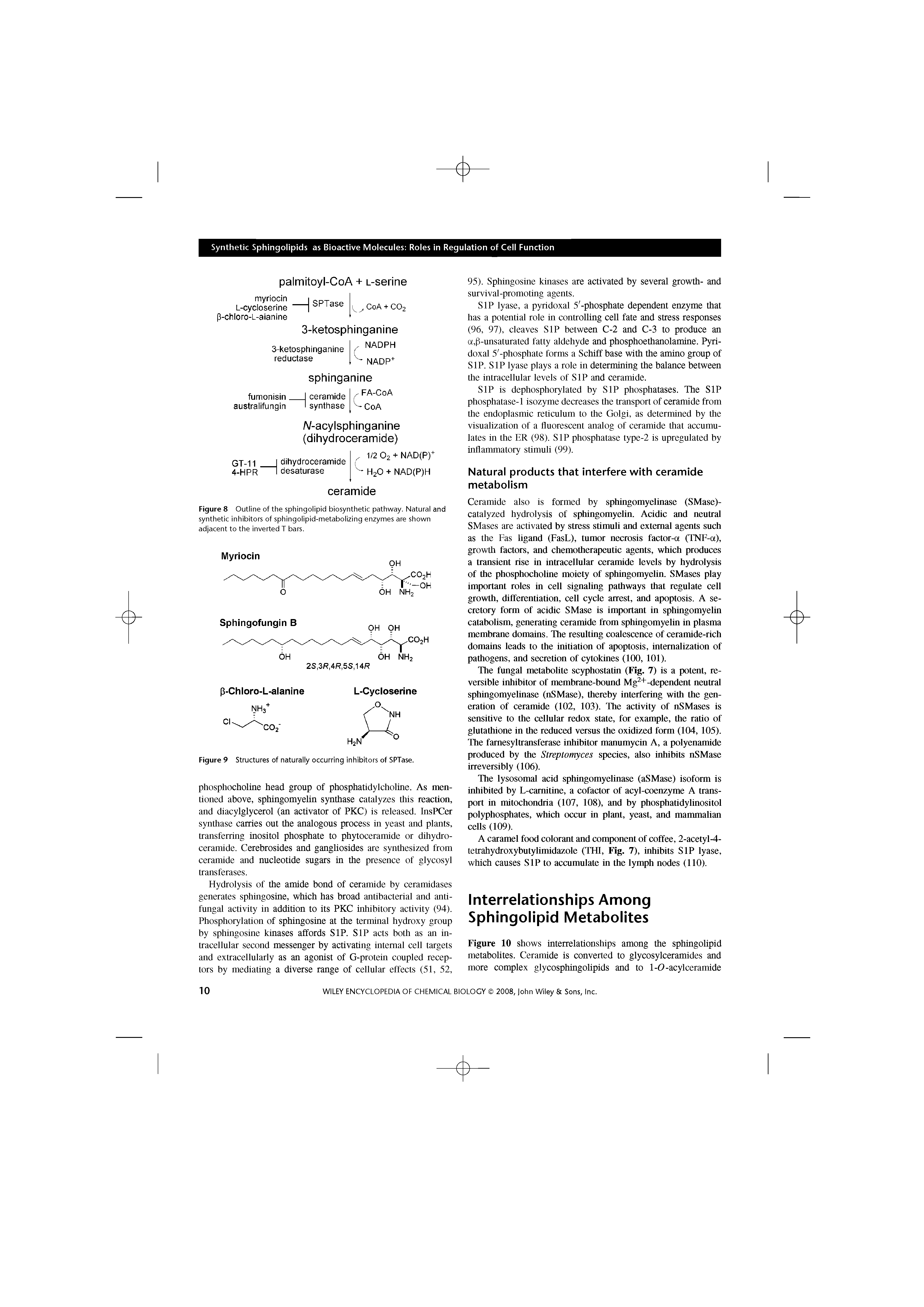 Figure 8 Outline of the sphingolipid biosynthetic pathway. Natural and synthetic inhibitors of sphingolipid-metabolizing enzymes are shown adjacent to the inverted T bars.