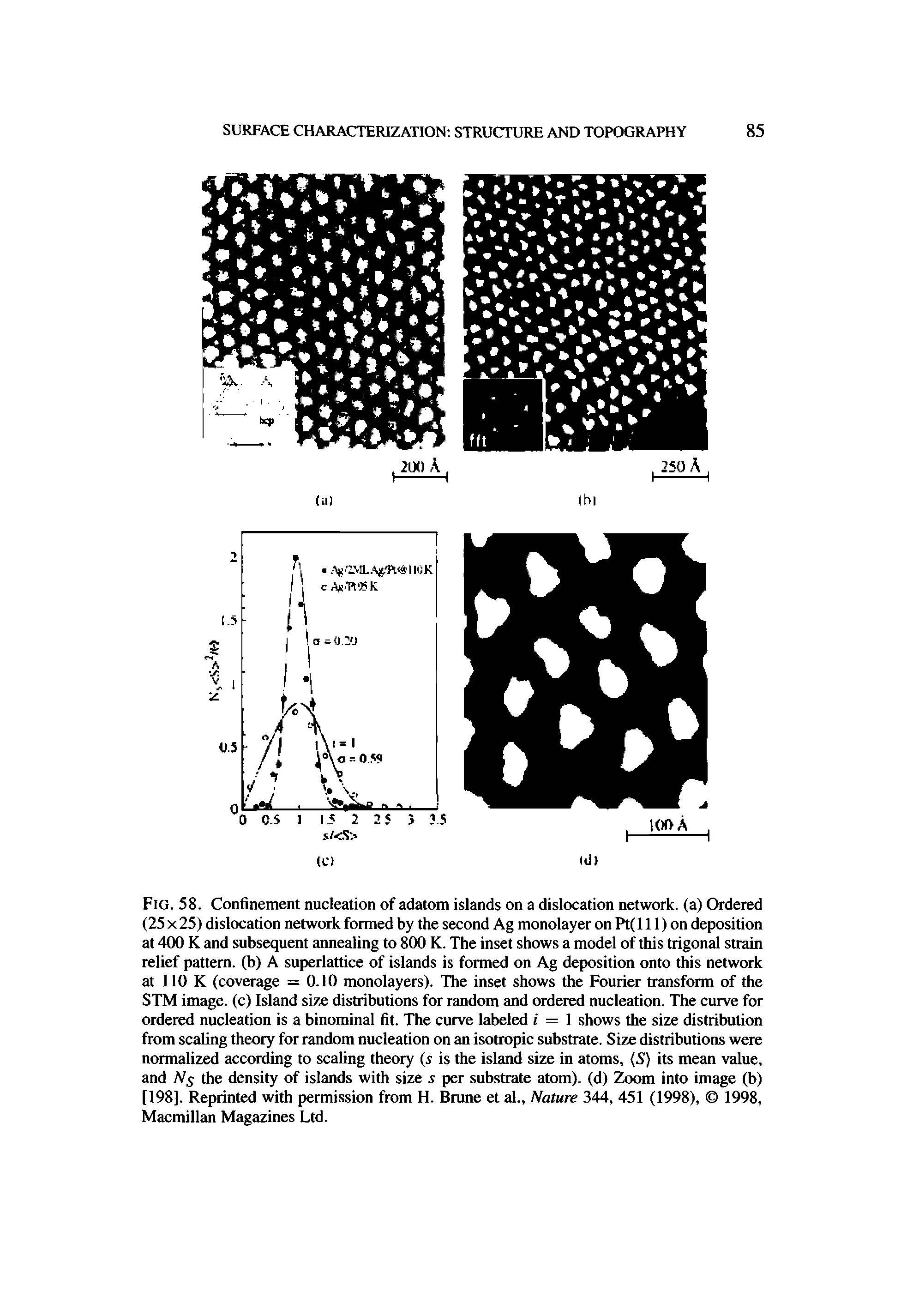 Fig. 58. Confinement nucleation of adatom islands on a dislocation network, (a) Ordered (25 X 25) dislocation network formed by the second Ag monolayer on Pt( 111) on deposition at 400 K and subsequent annealing to 800 K. The inset shows a model of this trigonal strain relief pattern, (b) A superlattice of islands is formed on Ag deposition onto this network at 110 K (coverage = 0.10 monolayers). The inset shows the Fourier transform of the STM image, (c) Island size distributions for random and ordered nucleation. The curve for ordered nucleation is a binominal fit. The curve labeled i = 1 shows the size distribution from scaling theory for random nucleation on an isotropic substrate. Size distributions were normalized according to scaling theory (5 is the island size in atoms, (S) its mean value, and Ns the density of islands with size s per substrate atom), (d) Zoom into image (b) [198]. Reprinted with permission from H. Brune et al.. Nature 344, 451 (1998), 1998, Macmillan Magazines Ltd.