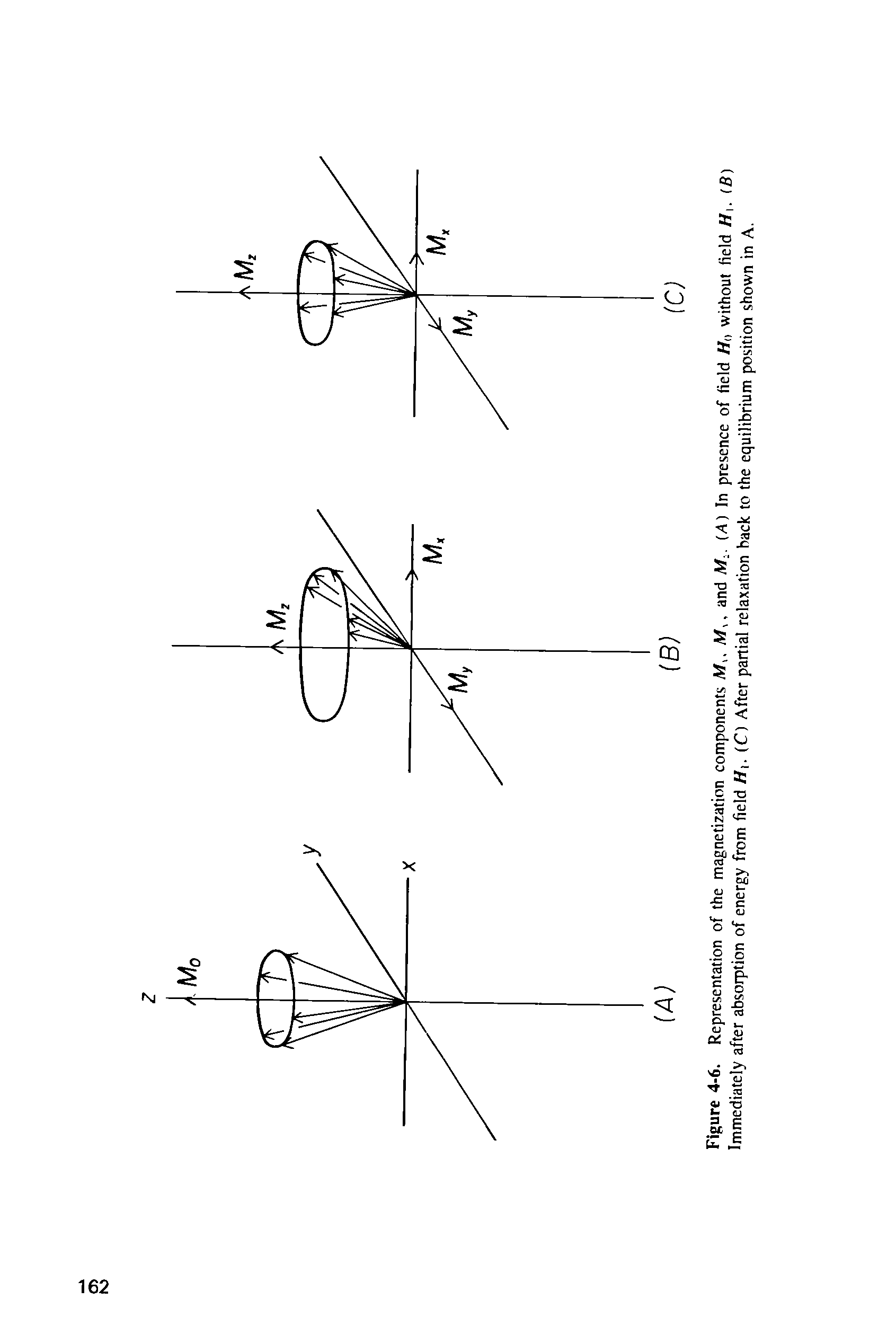 Figure 4-6. Representation of the magnetization components A/, A/., and A/,. (A) In presence of field without field H. (B) Immediately after absorption of energy from field Hi. (C) After partial relaxation back to the equilibrium position shown in A.