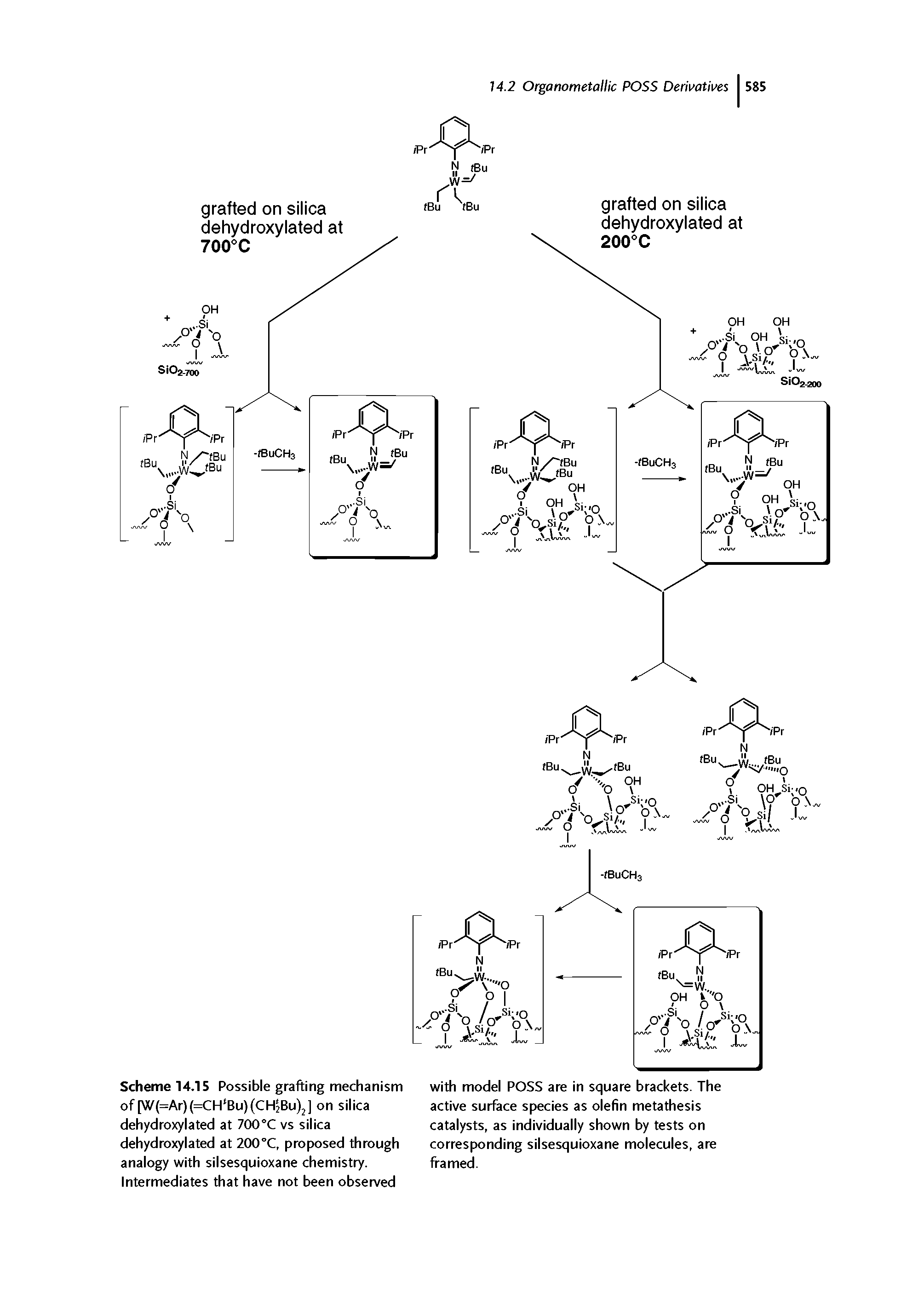 Scheme 14.15 Possible grafting mechanism of[W(=Ar)(=CH Bu)(CH5Bu)j] on silica dehydroxylated at 700°C vs silica dehydroxylated at 200°C, proposed through analogy with silsesquioxane chemistry. Intermediates that have not been observed...