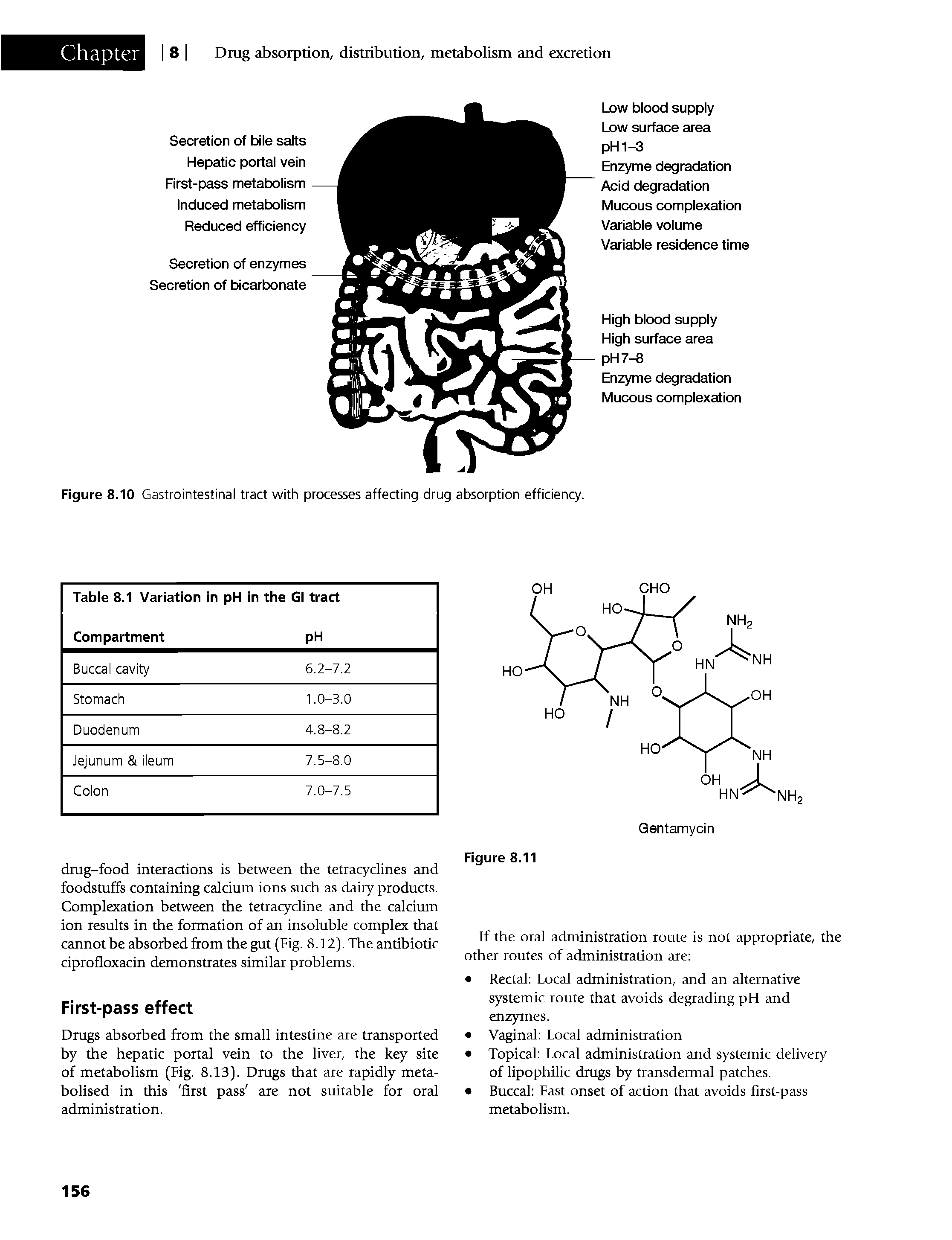 Figure 8.10 Gastrointestinal tract with processes affecting drug absorption efficiency.