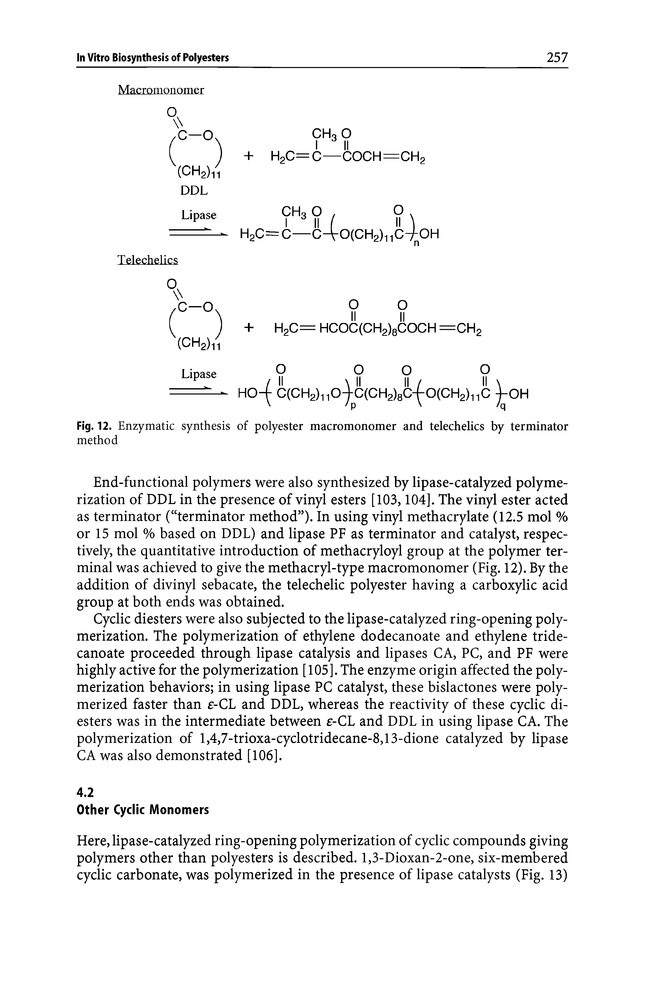 Fig. 12. Enzymatic synthesis of polyester macromonomer and telechelics by terminator method...