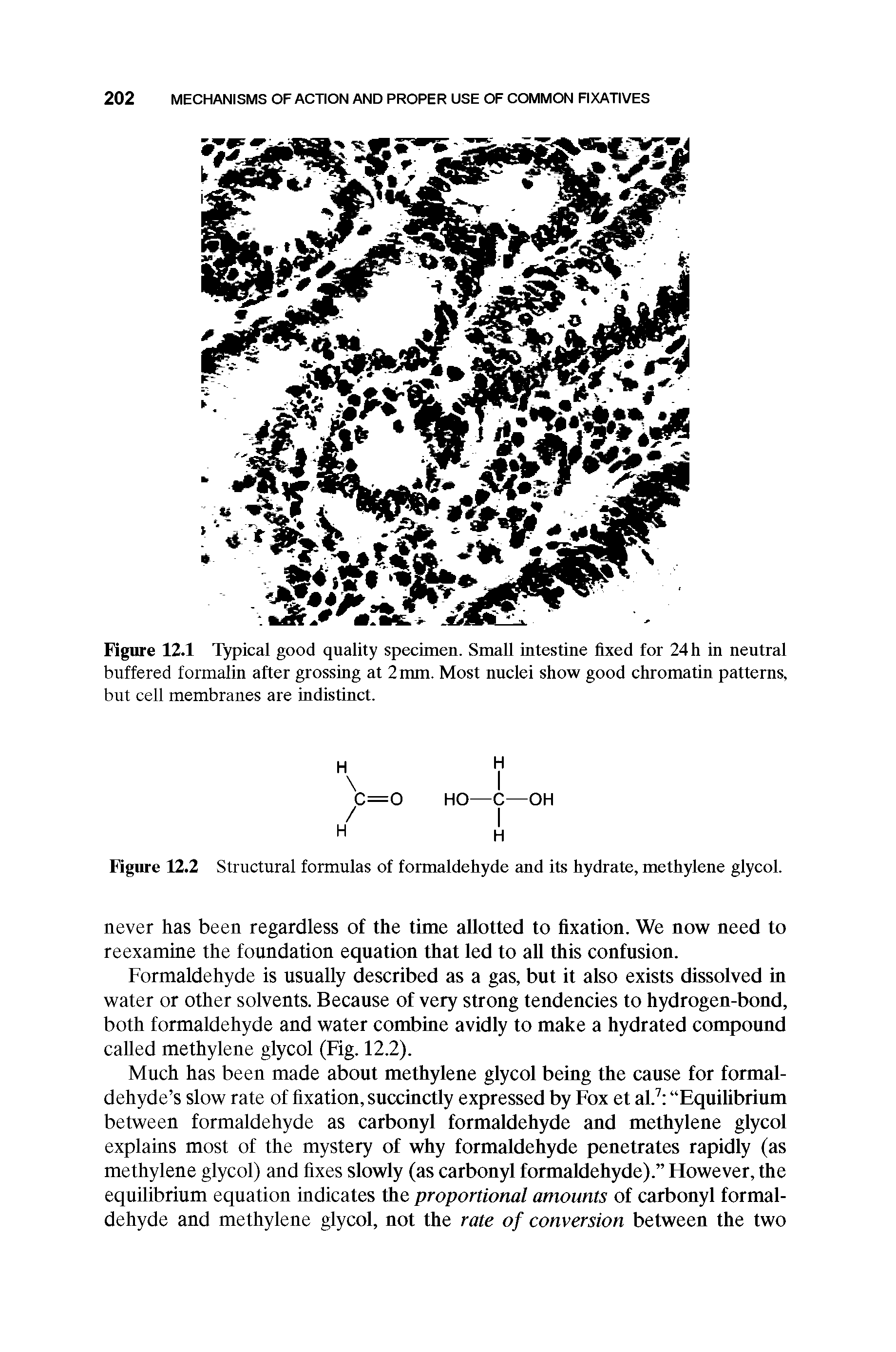 Figure 12.2 Structural formulas of formaldehyde and its hydrate, methylene glycol.