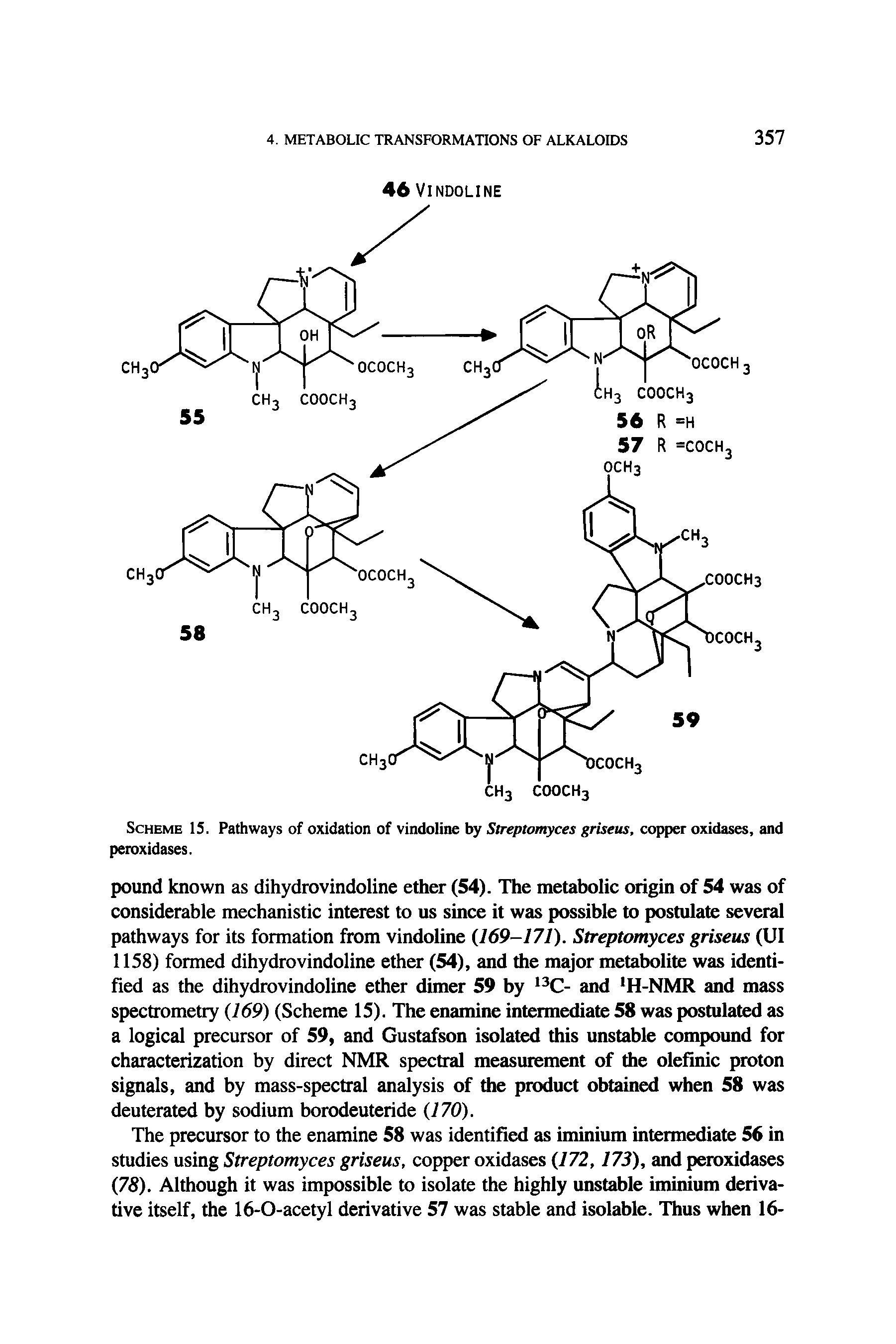 Scheme 15. Pathways of oxidation of vindoline by Streptomyces griseus, copper oxidases, and peroxidases.