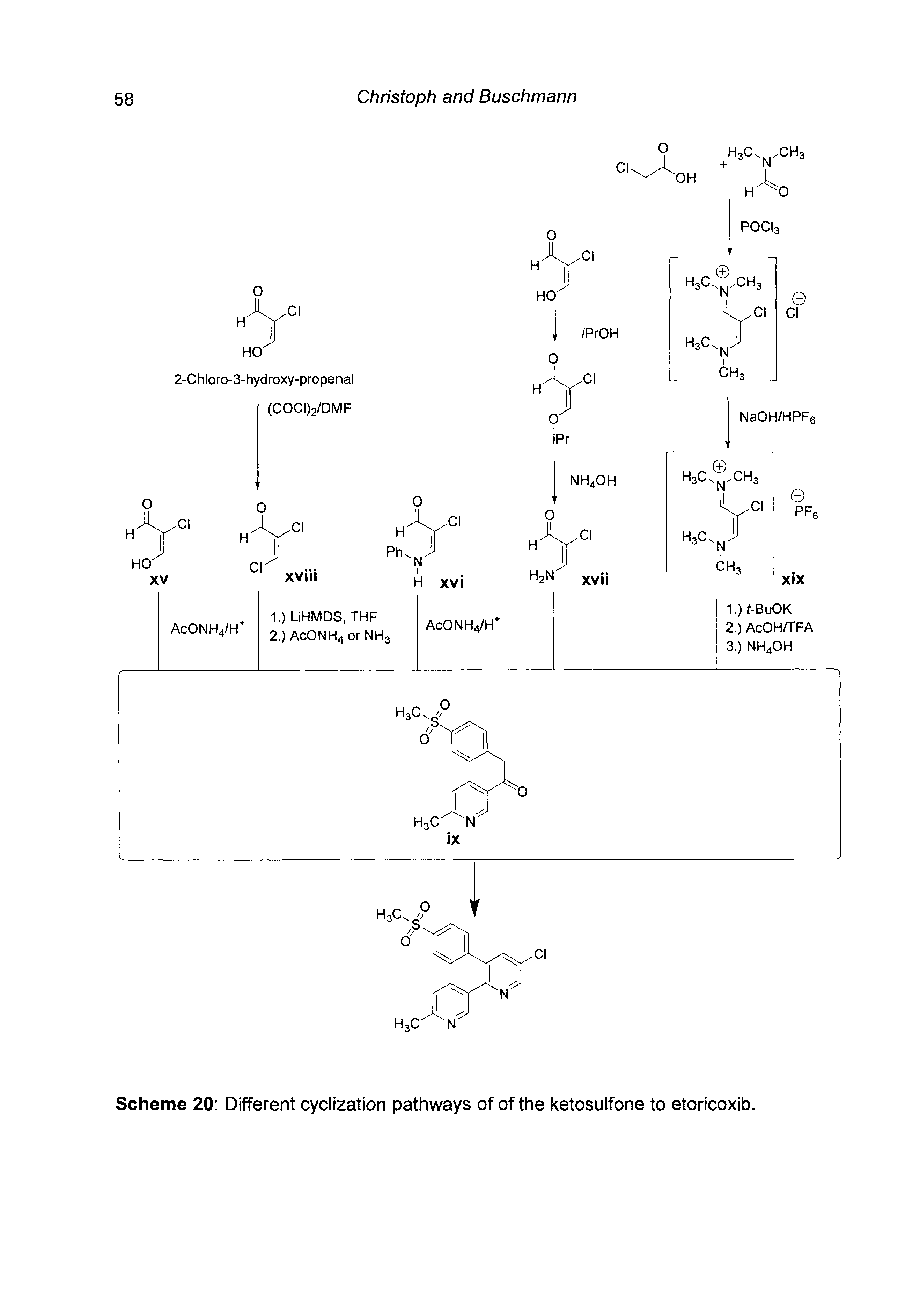 Scheme 20 Different cyclization pathways of of the ketosulfone to etoricoxib.