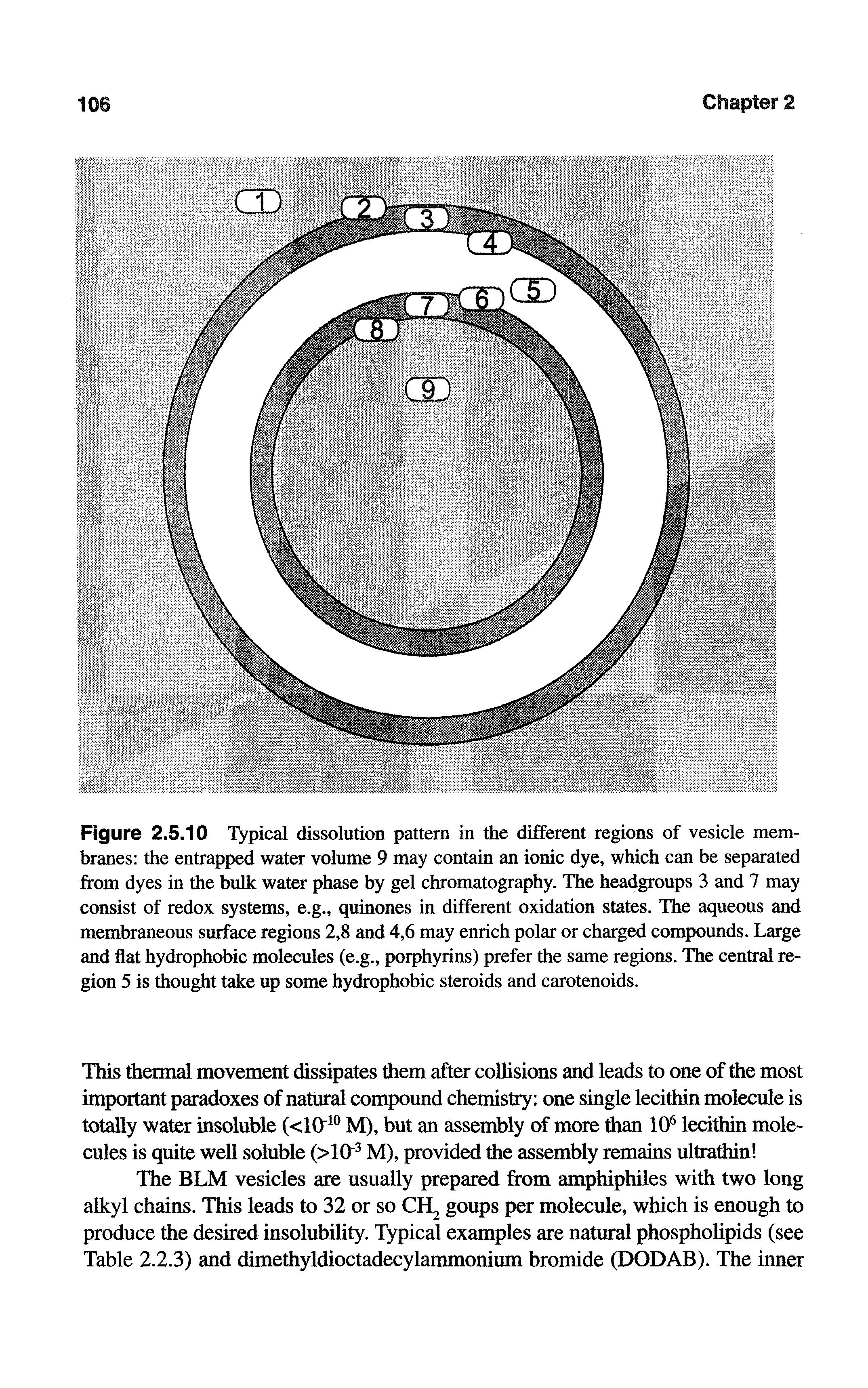 Figure 2.5.10 Typical dissolution pattern in the different regions of vesicle membranes the entrapped water volume 9 may contain an ionic dye, which can be separated from dyes in the bulk water phase by gel chromatography. The headgroups 3 and 7 may consist of redox systems, e.g., quinones in different oxidation states. The aqueous and membraneous surface regions 2,8 and 4,6 may enrich polar or charged compounds. Large and flat hydrophobic molecules (e.g., porphyrins) prefer the same regions. The central region 5 is thought take up some hydrophobic steroids and carotenoids.