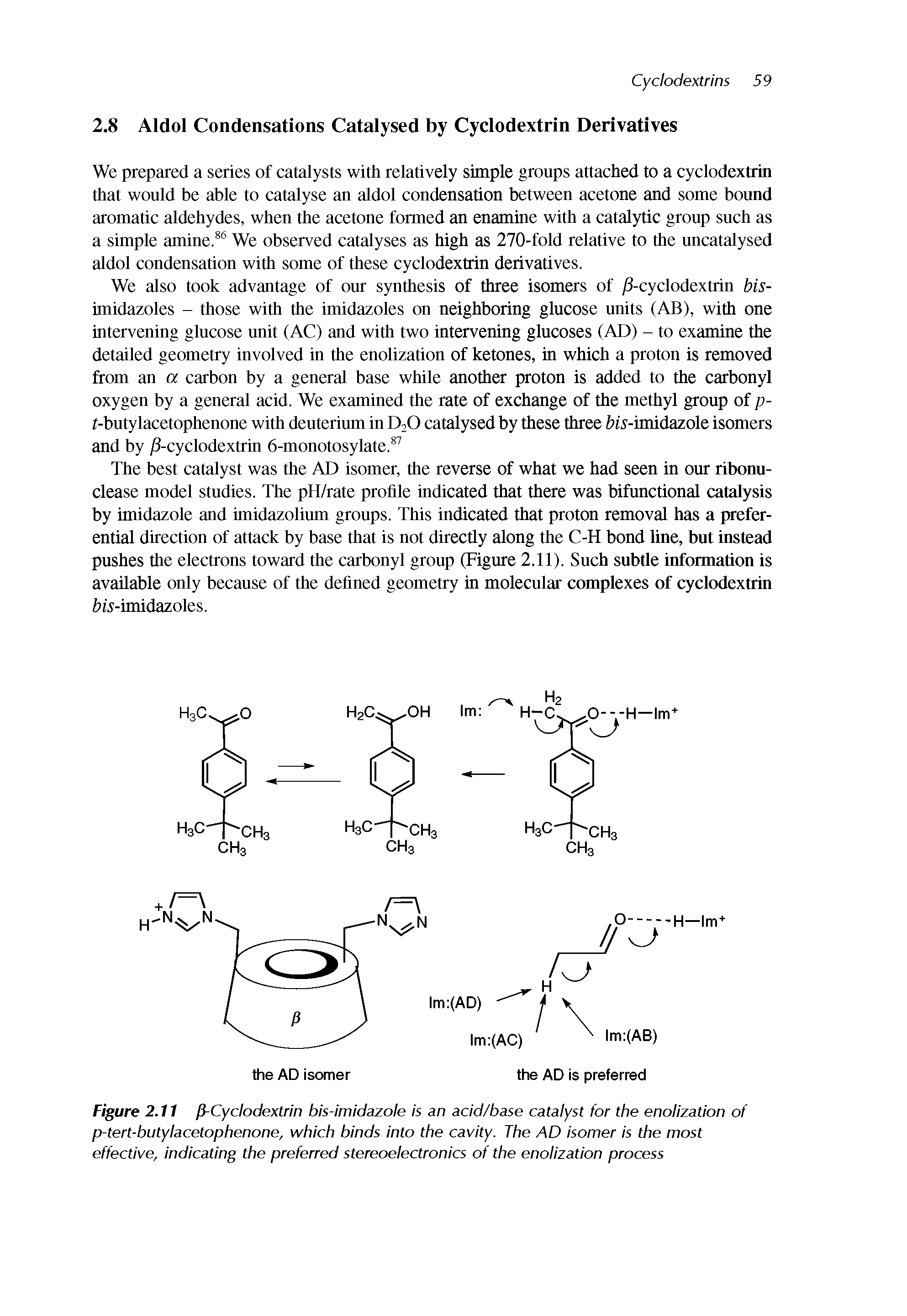 Figure 2.11 P-Cyclodextrin bis-imidazole is an acid/base catalyst for the enolization of p-tert-butylacetophenone, which binds into the cavity. The AD isomer is the most effective, indicating the preferred stereoelectronics of the enolization process...
