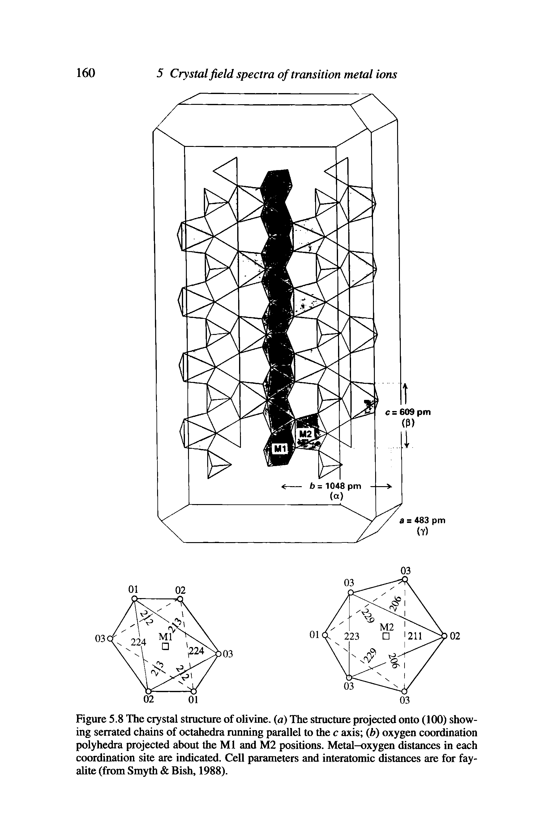 Figure 5.8 The crystal structure of olivine, (a) The structure projected onto (100) showing serrated chains of octahedra running parallel to the c axis (b) oxygen coordination polyhedra projected about the Ml and M2 positions. Metal—oxygen distances in each coordination site are indicated. Cell parameters and interatomic distances are for fay-alite (from Smyth Bish, 1988).