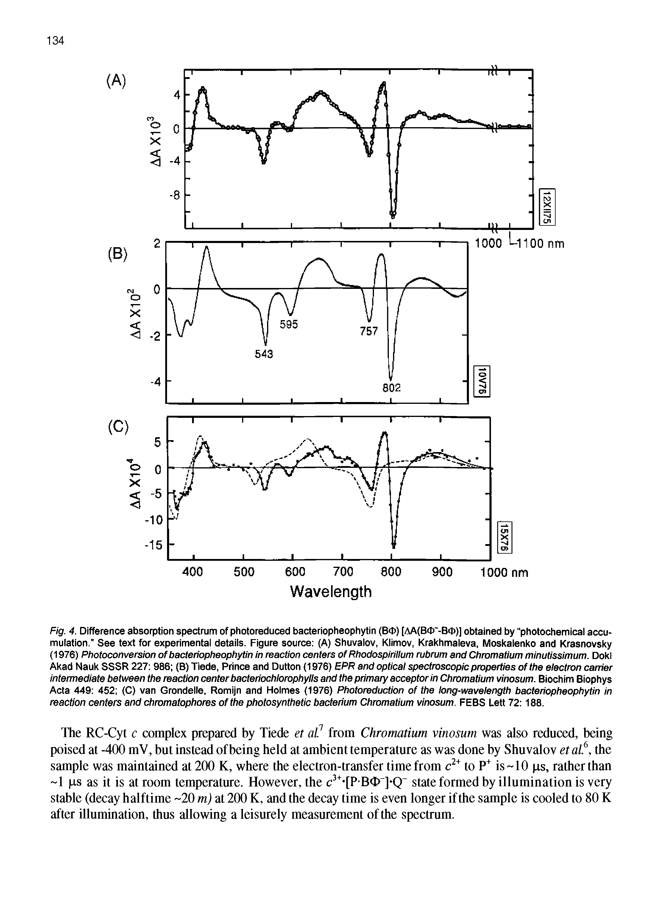 Fig. 4. Difference absorption spectrum of photoreduced bacleriopheophytin (B<D) [AA(BO -Bd))] obtained by photochemicai accumulation. See text for experimental details. Figure source (A) Shuvalov, Klimov, Krakhmaleva, Moskalenko and Krasnovsky (1976) Photoconversion of bacteriopheophytin in reaction centers of Rhodospirillum rubrum and Chromatium minutissimum. DokI Akad Nauk SSSR 227 986 (B) Tiede, Prince and Dutton (1976) EPR and optical spectroscopic properties of the electron carrier intermediate between the reaction center bacteriochlorophylls and the primary acceptor in Chromatium vinosum. Biochim Biophys Acta 449 452 (C) van Grondelle, Romijn and Holmes (1976) Photoreduction of the long-wavelength bacteriopheophytin in reaction centers and chromatophores of the photosynthetic bacterium Chromatium vinosum. FEBS Lett 72 188.