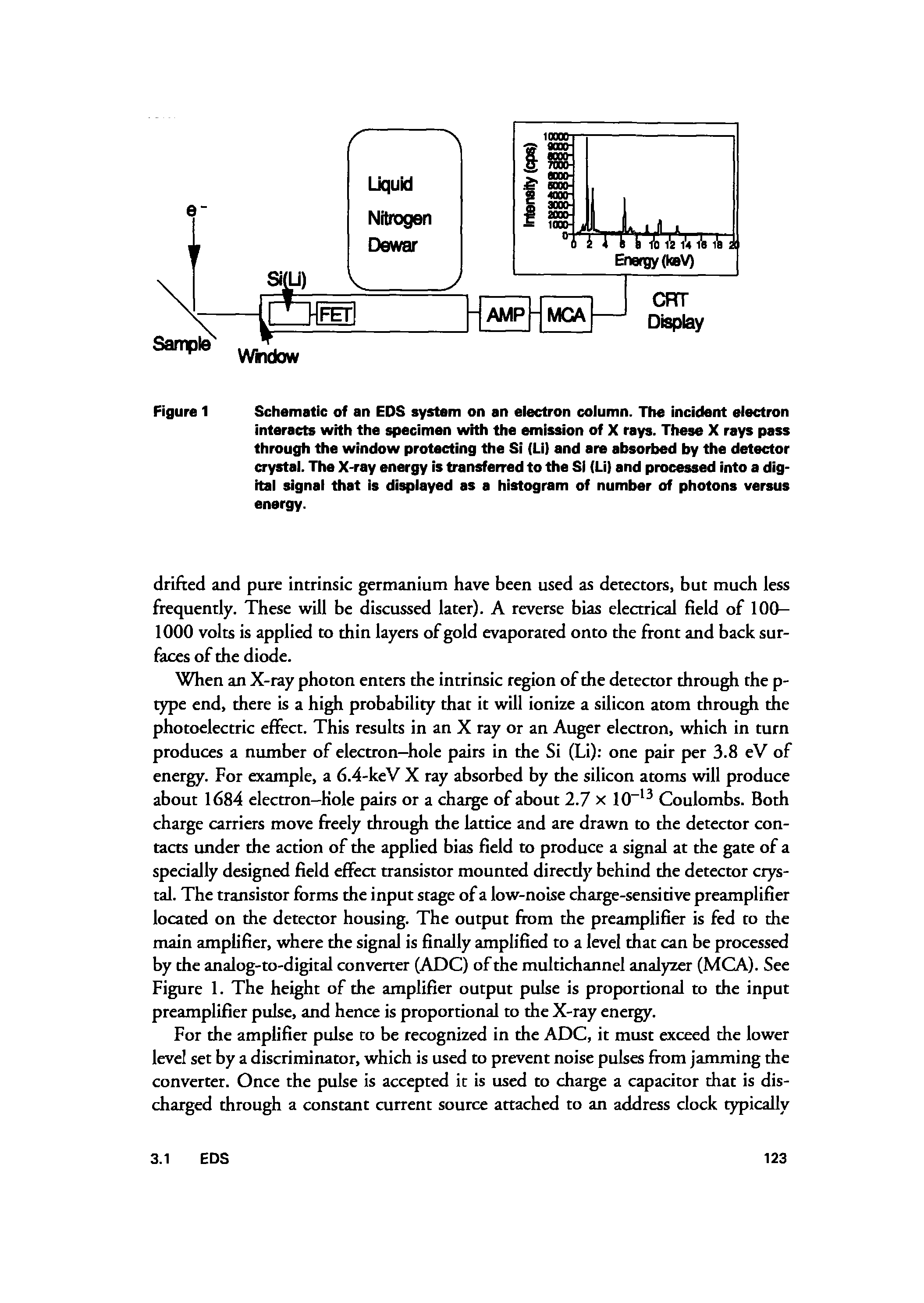 Figure 1 Schematic of an EDS system on an electron column. The incident electron interacts with the specimen with the emission of X rays. These X rays pass through the window protecting the Si (Li) and are absorbed by the detector crystal. The X-ray energy is transferred to the Si (Li) and processed into a dig-itai signal that is displayed as a histogram of number of photons versus energy.