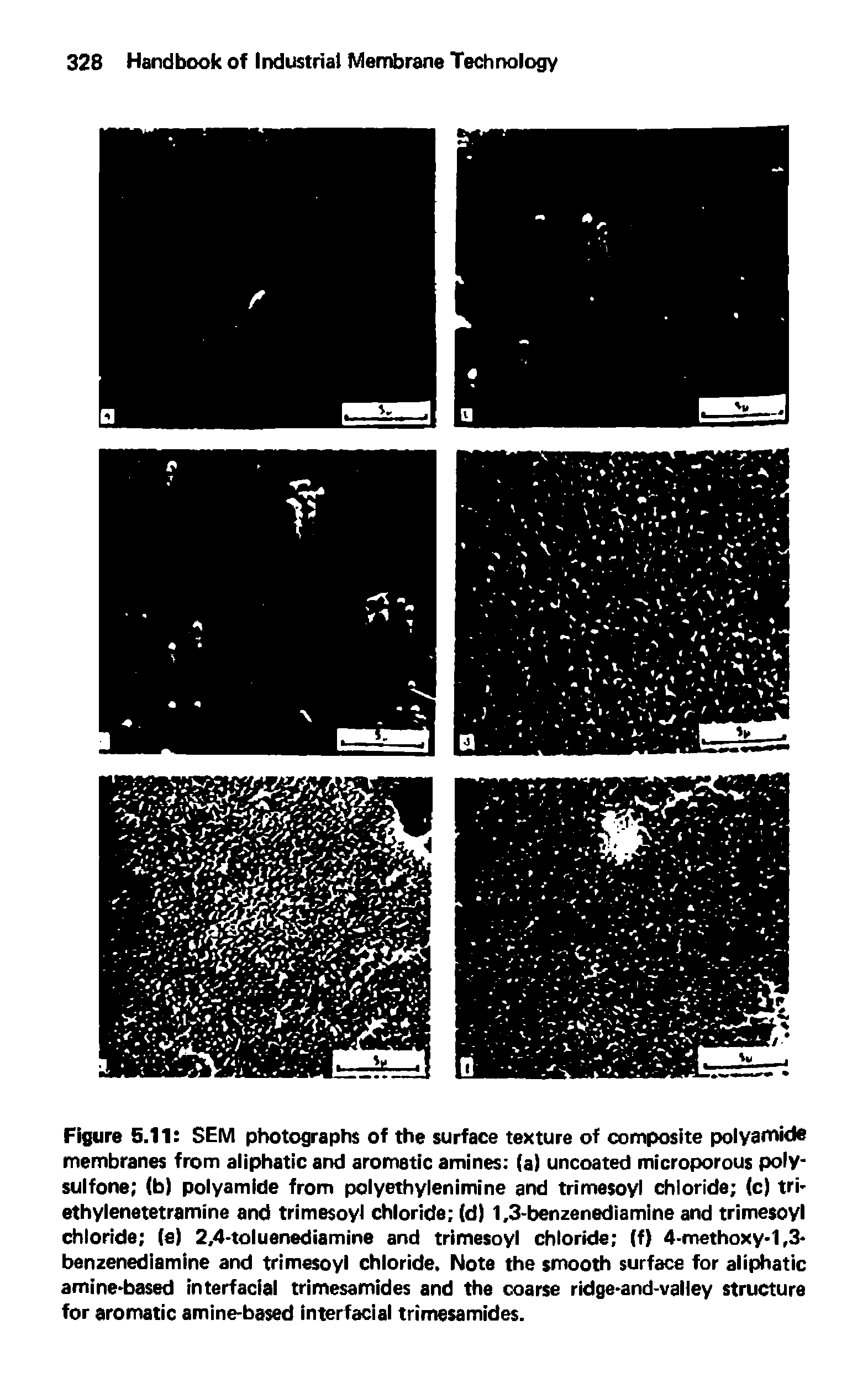 Figure 5.11 SEM photographs of the surface texture of composite polyamide membranes from aliphatic and aromatic amines (a) uncoated microporous poly-sulfone (b) polyamide from polyethylenimine and trimesoyl chloride (c) tri-ethylenetetramine and trimesoyl chloride (d) 1,3-benzenediamine and trimesoyl chloride (e) 2,4-toluenediamine and trimesoyl chloride (f) 4-methoxy-1,3-benzenediamine and trimesoyl chloride. Note the smooth surface for aliphatic amine-based interfacial trimesamides and the coarse ridge-and-valley structure for aromatic amine-based interfacial trimesamides.