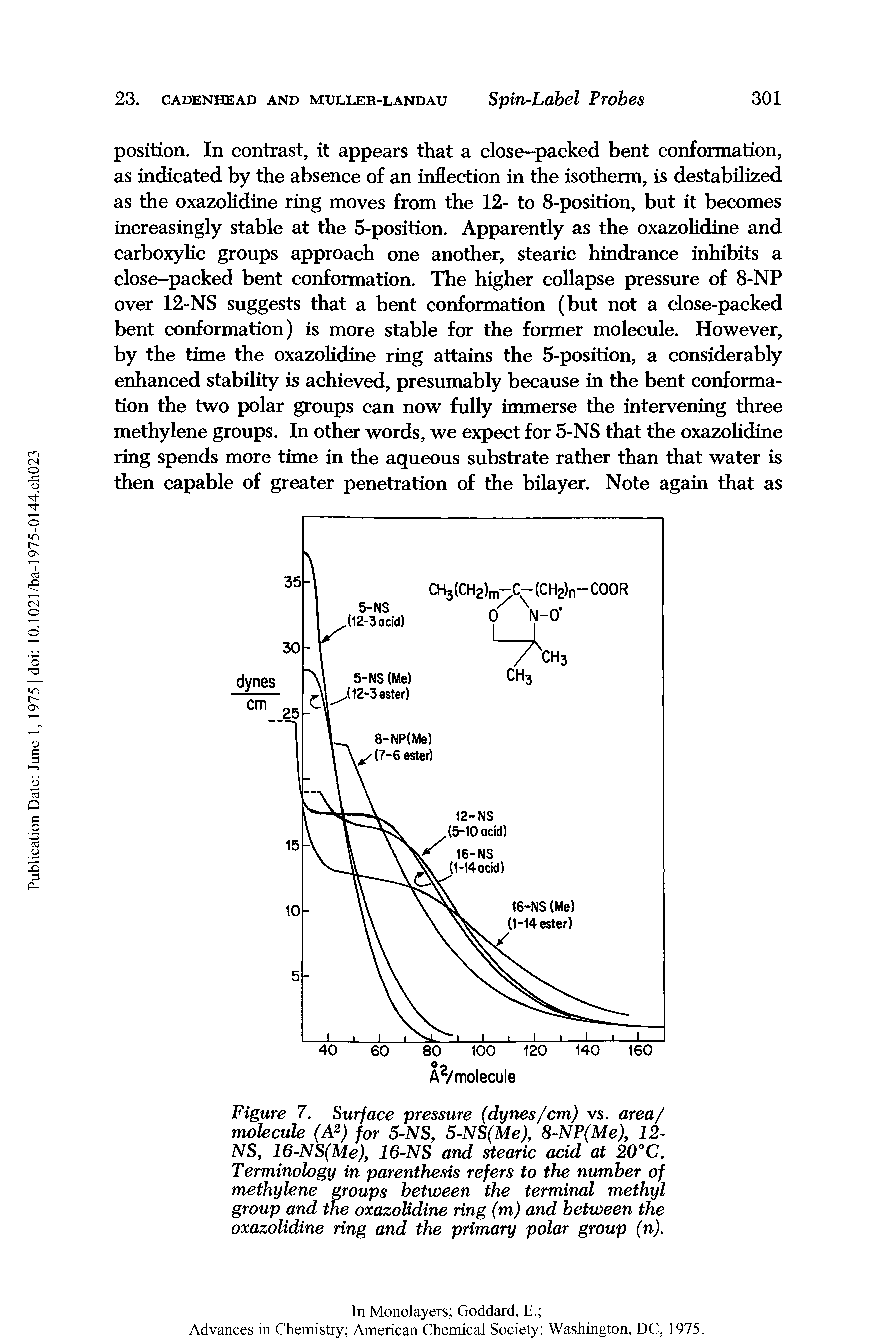 Figure 7. Surface pressure (dynes/cm) vs. area/ molecule (A2) for 5-NS, 5-NS(Me)y 8-N (Me)y 12-NS, 16-NS(Me)y 16-NS and stearic acid at 20°C. Terminology in parenthesis refers to the number of methylene groups between the terminal methyl group and the oxazolidine ring (m) and between the oxazolidine ring and the primary polar group (n).