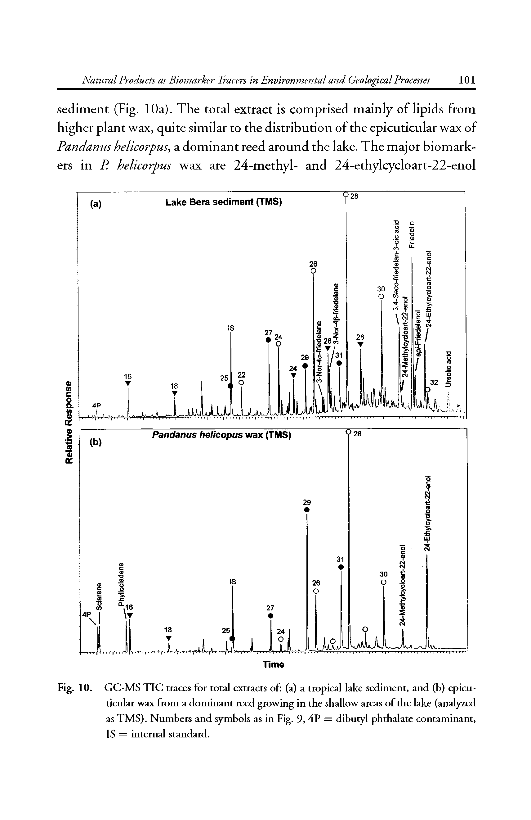 Fig. 10. GC MS TIC traces for total extracts of (a) a tropical lake sediment, and (b) epicu-ticular wax from a dominant reed growing in the shallow areas of the lake (analyzed as TMS). Numbers and symbols as in Fig. 9, 4P = dibutyl phthalate contaminant, IS = internal standard.
