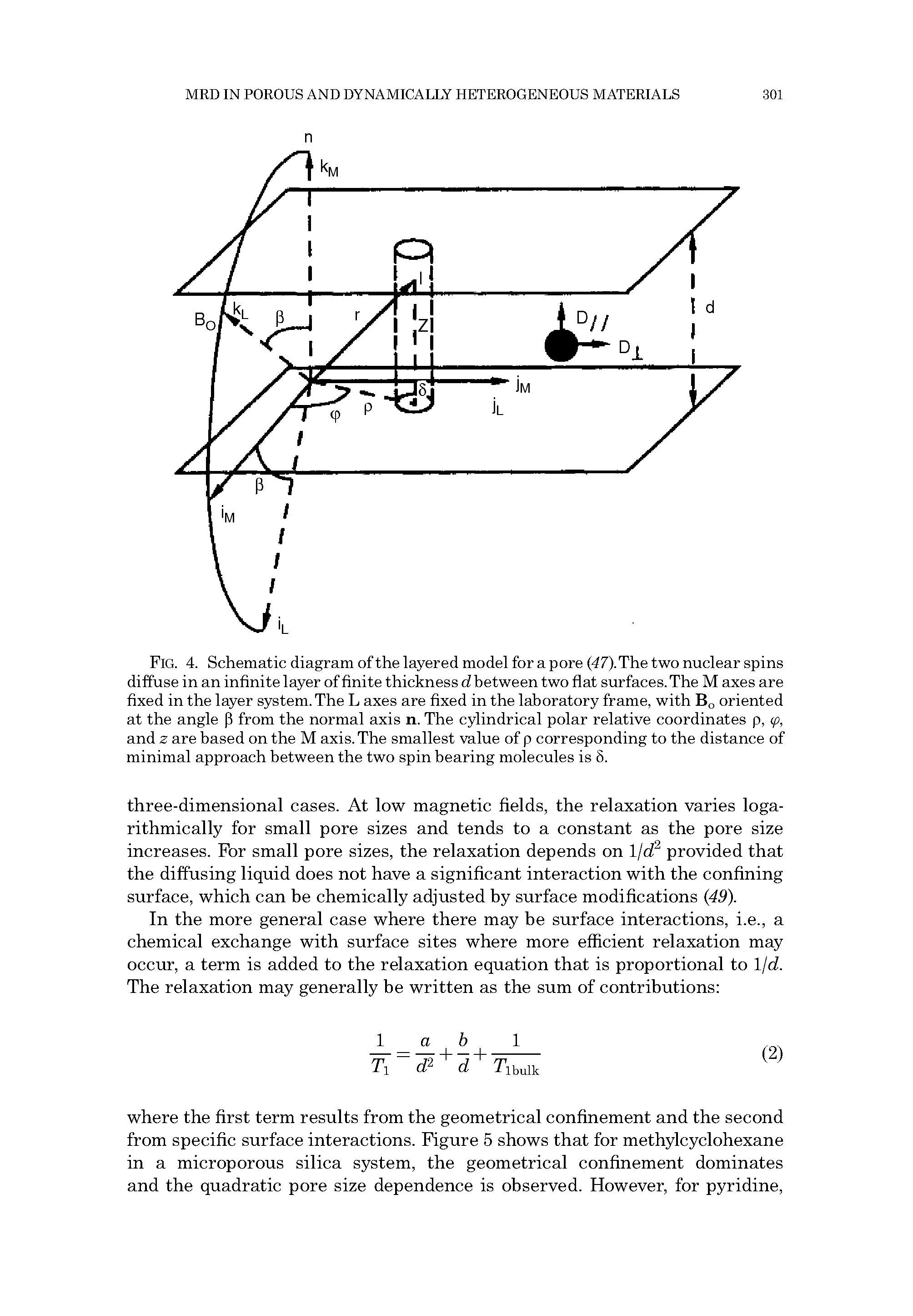 Fig. 4. Schematic diagram of the layered model for a pore (47). The two nuclear spins diffuse in an infinite layer of finite thickness d between two flat surfaces. The M axes are fixed in the layer system. The L axes are fixed in the laboratory frame, with Bq oriented at the angle P from the normal axis n. The cylindrical polar relative coordinates p, (p, and z are based on the M axis. The smallest value of p corresponding to the distance of minimal approach between the two spin bearing molecules is 5.