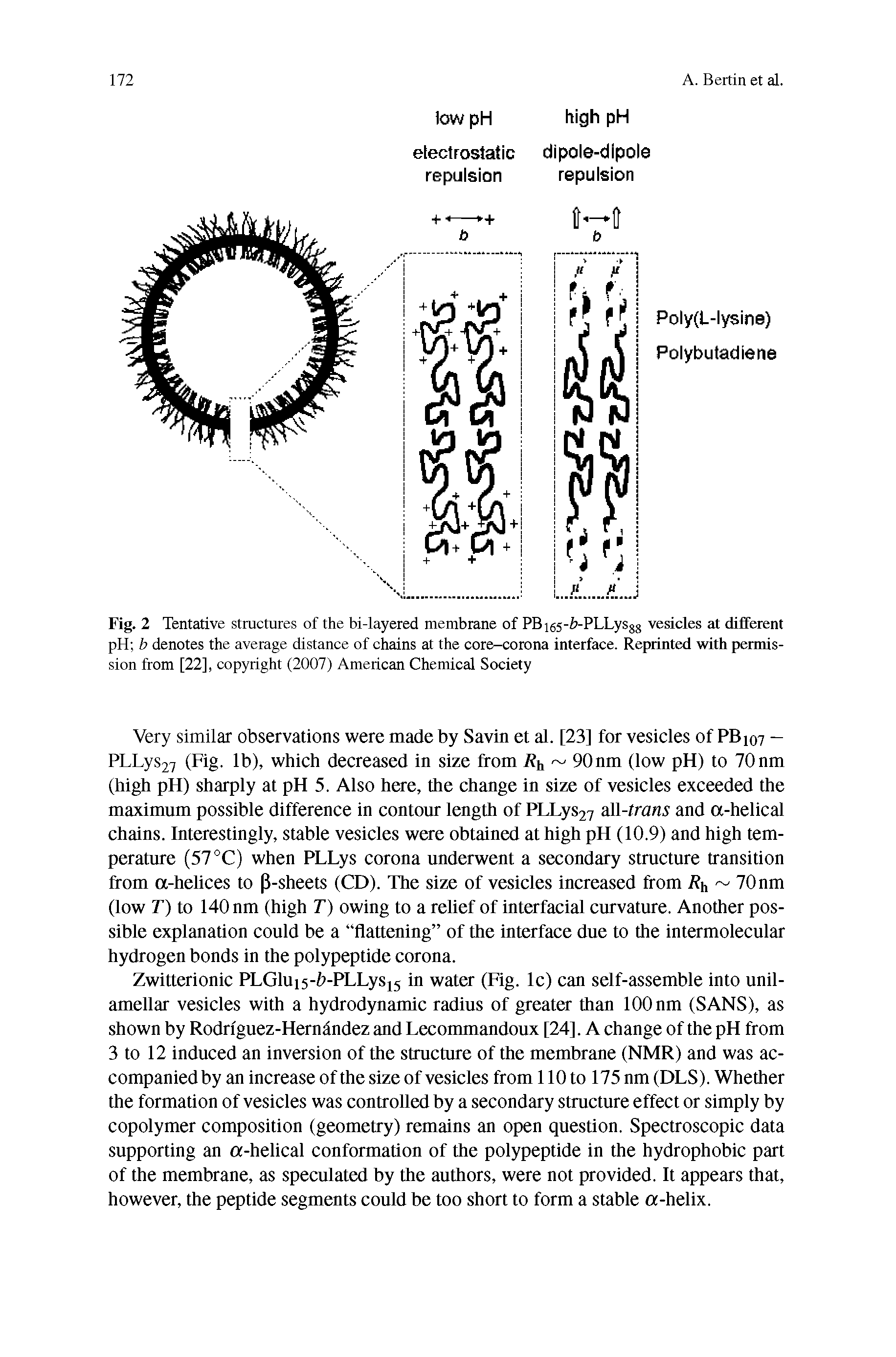 Fig. 2 Tentative structures of the bi-layered membrane of PBig5- -PLLysg8 vesicles at different pH b denotes the average distance of chains at the core-corona interface. Reprinted with permission from [22], copyright (2007) American Chemical Society...